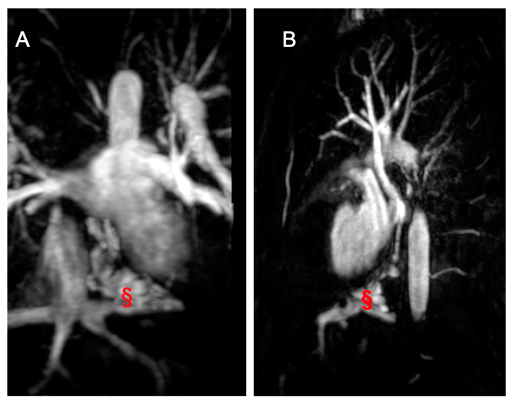 Children 11 00878 g008