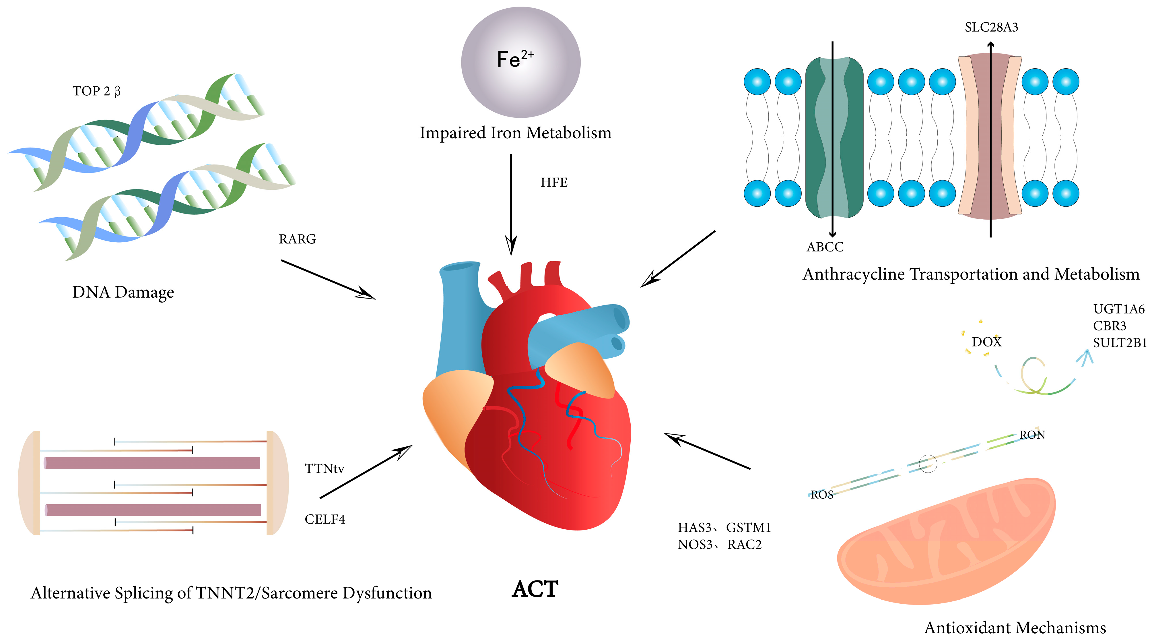 Children 11 00884 g001