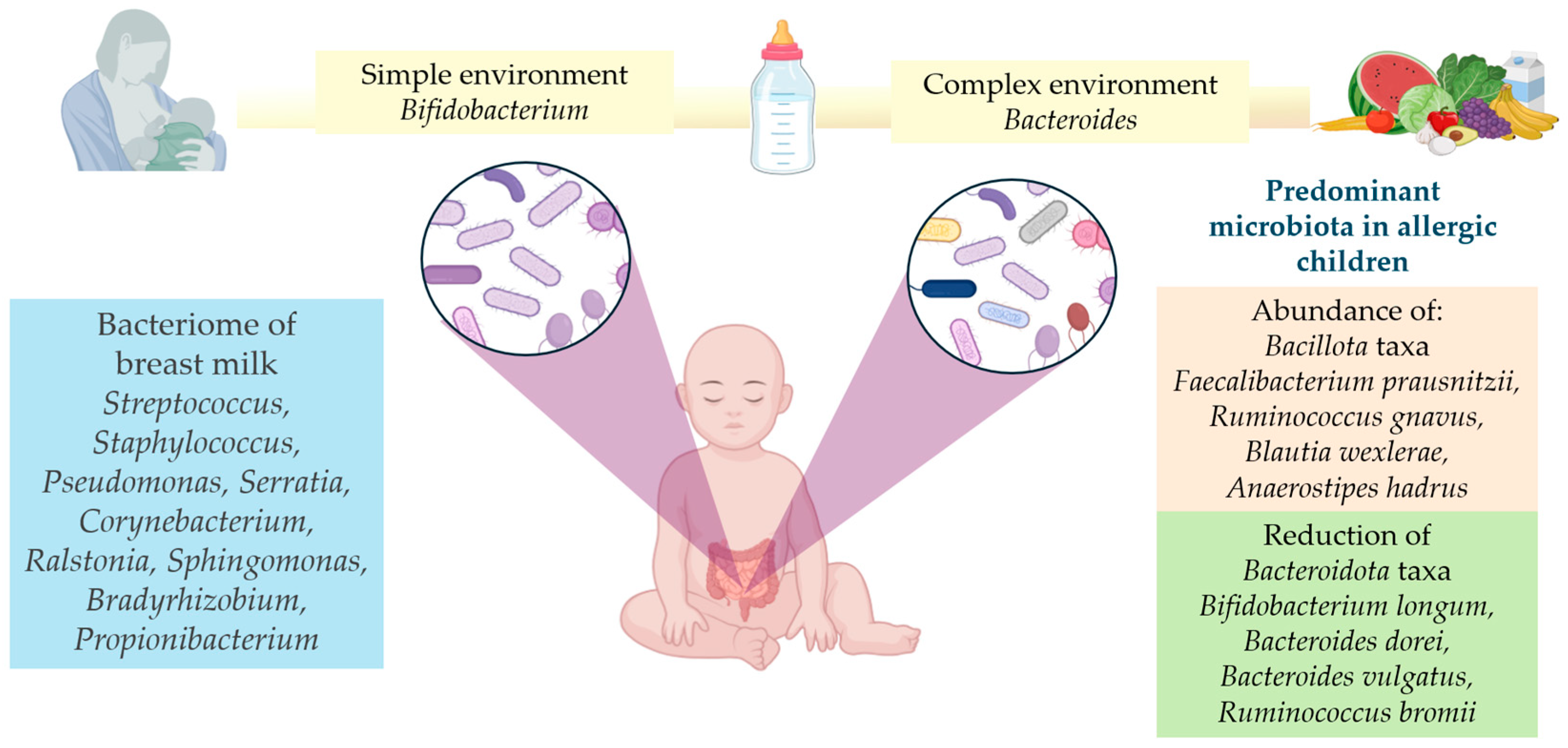 Children 11 01030 g001