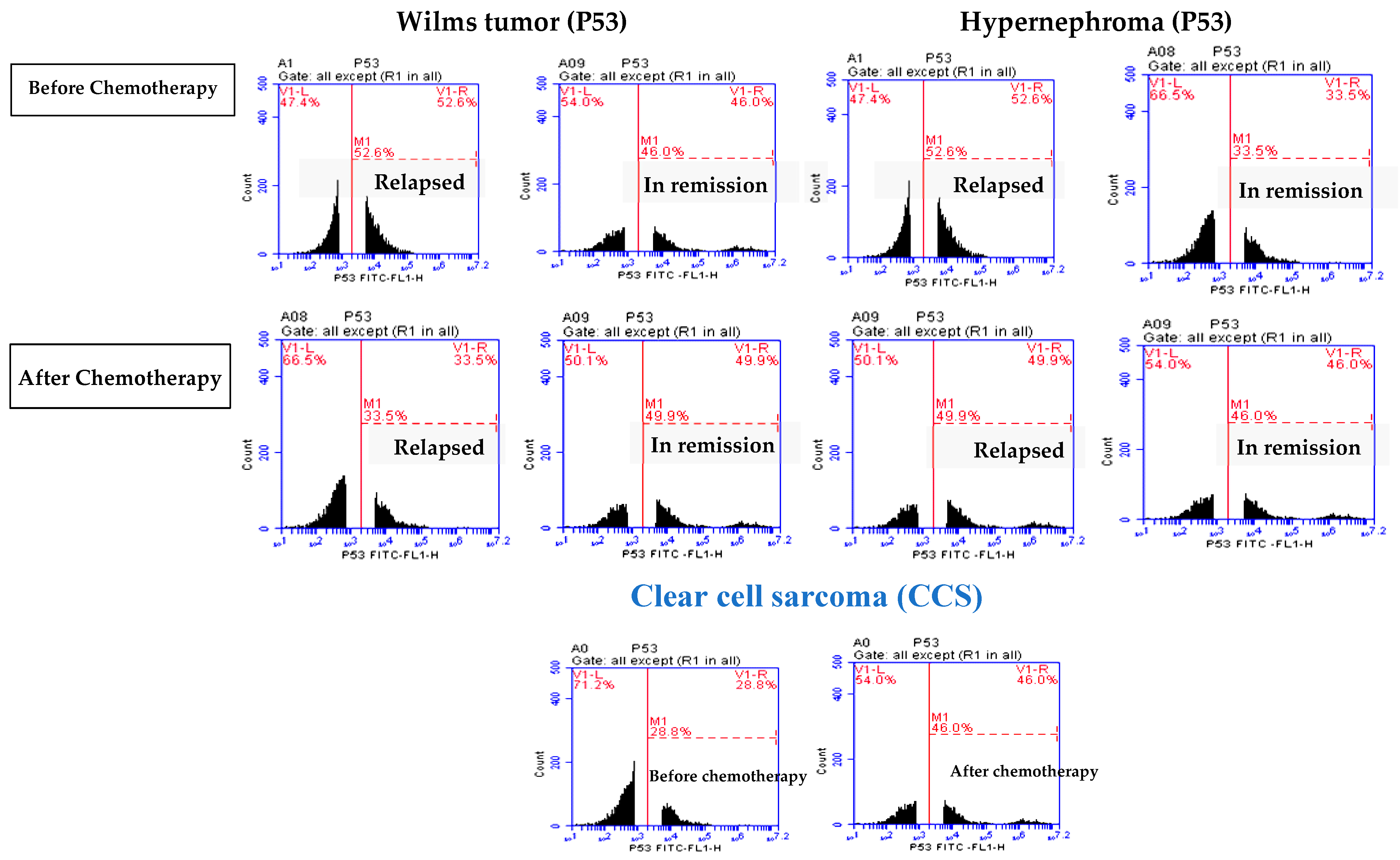 Children 11 01035 g004