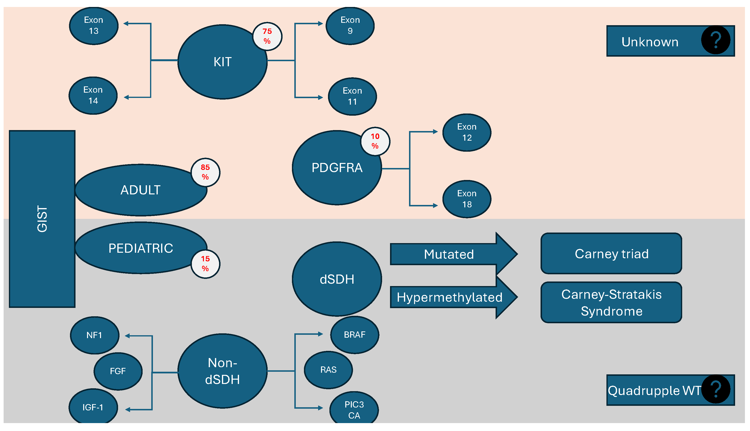 Children 11 01040 g001