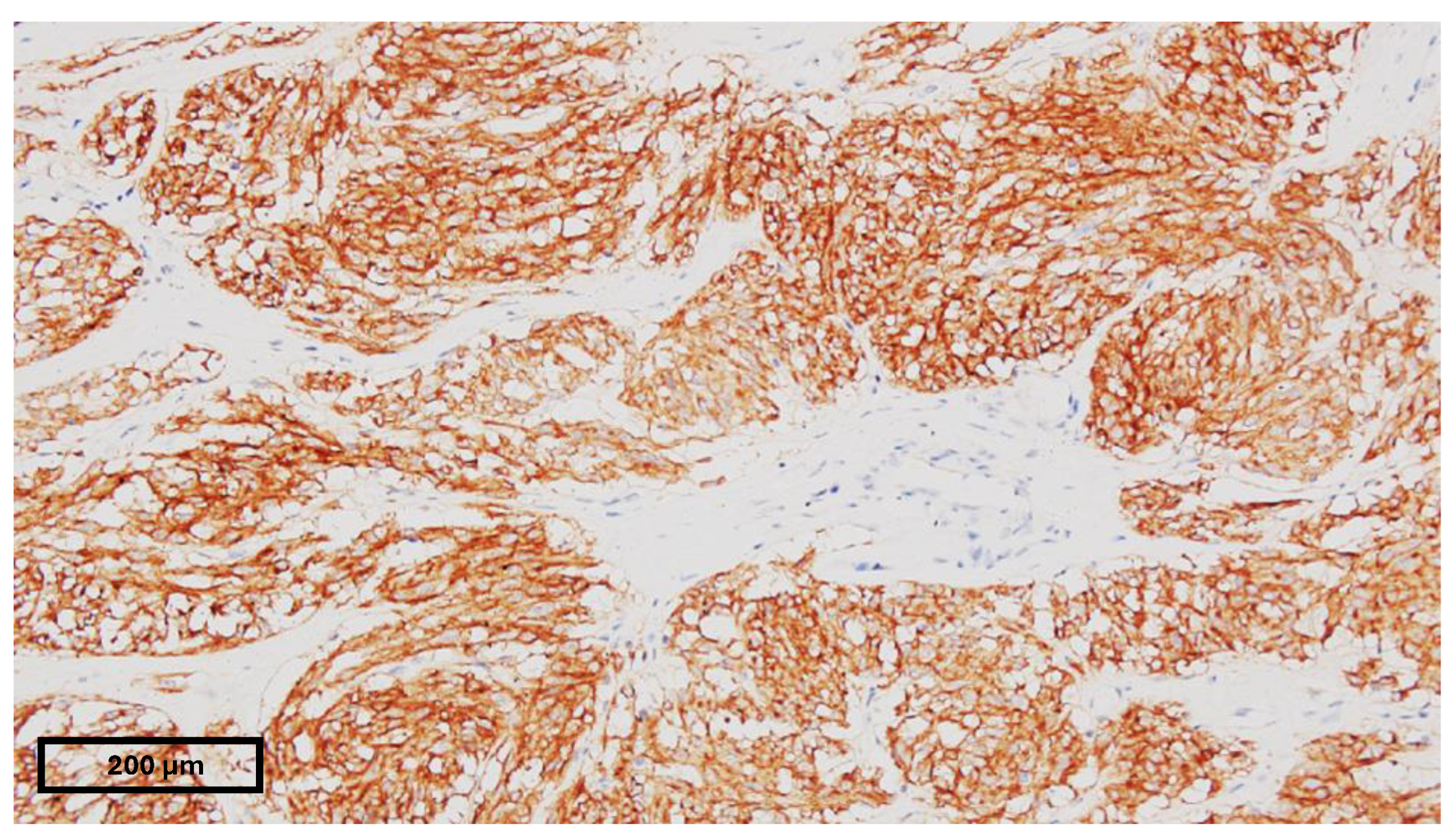 Children 11 01040 g003