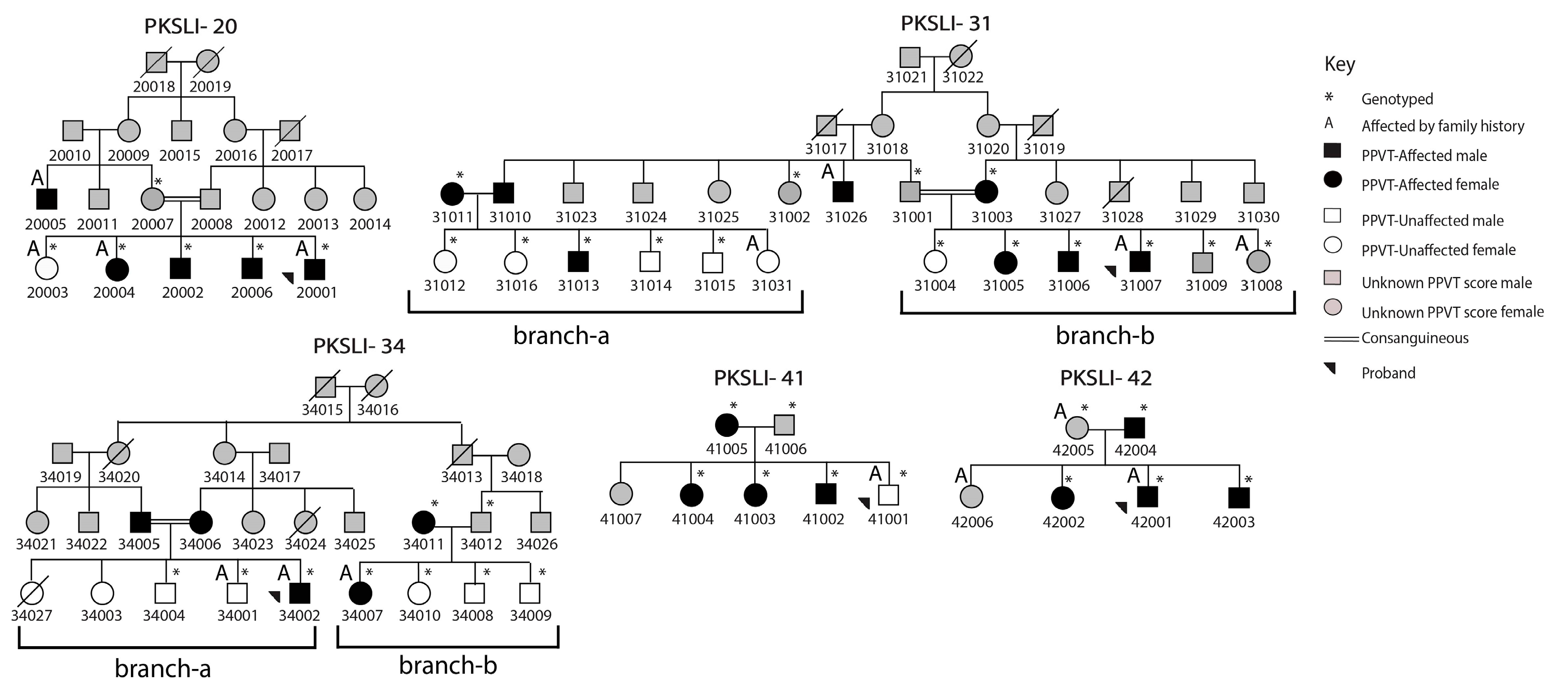 Children 11 01063 g001