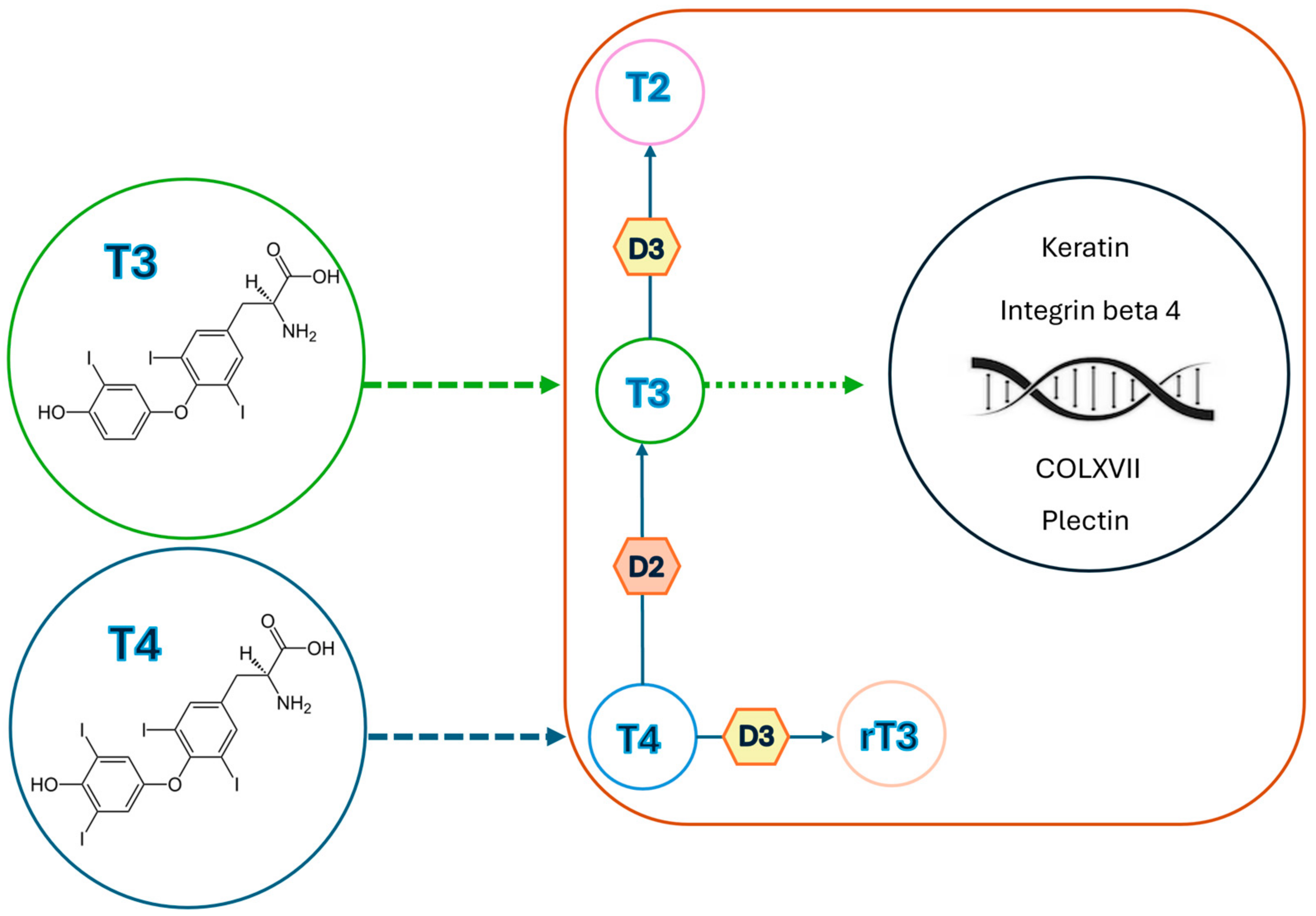 Children 11 01488 g001 Children 11 01488 g001
