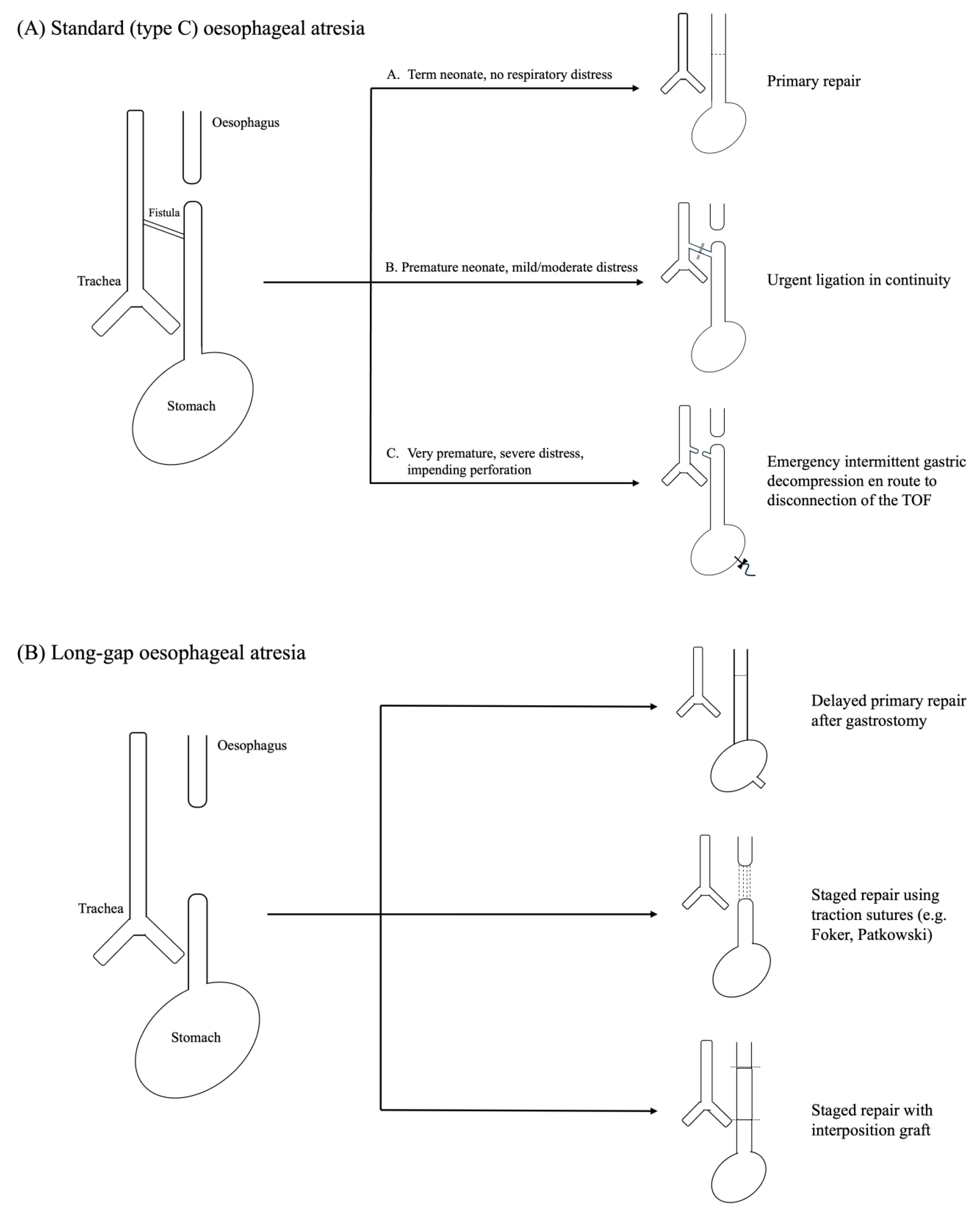 Children 12 00273 g001