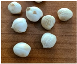 Children 12 00299 i002