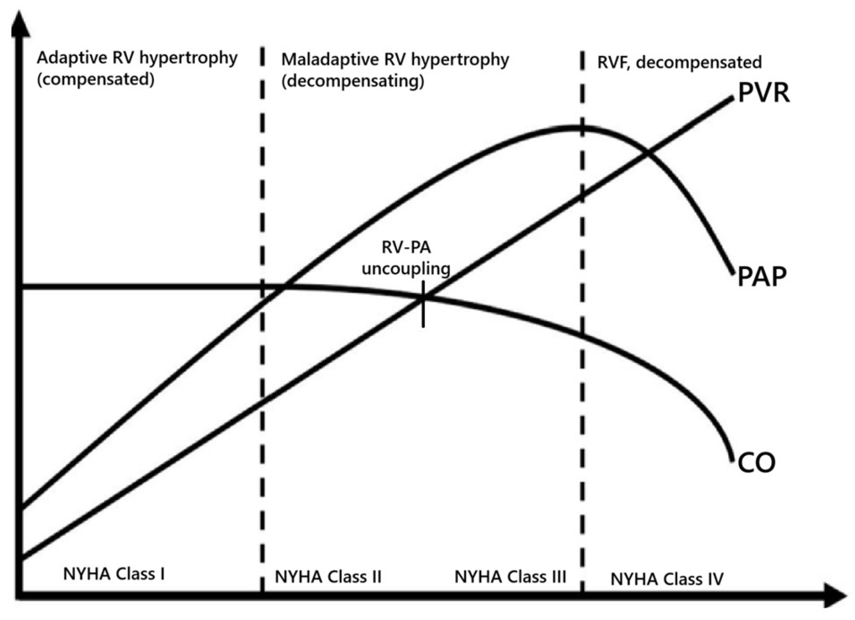 Children 12 00476 g003 Children 12 00476 g003