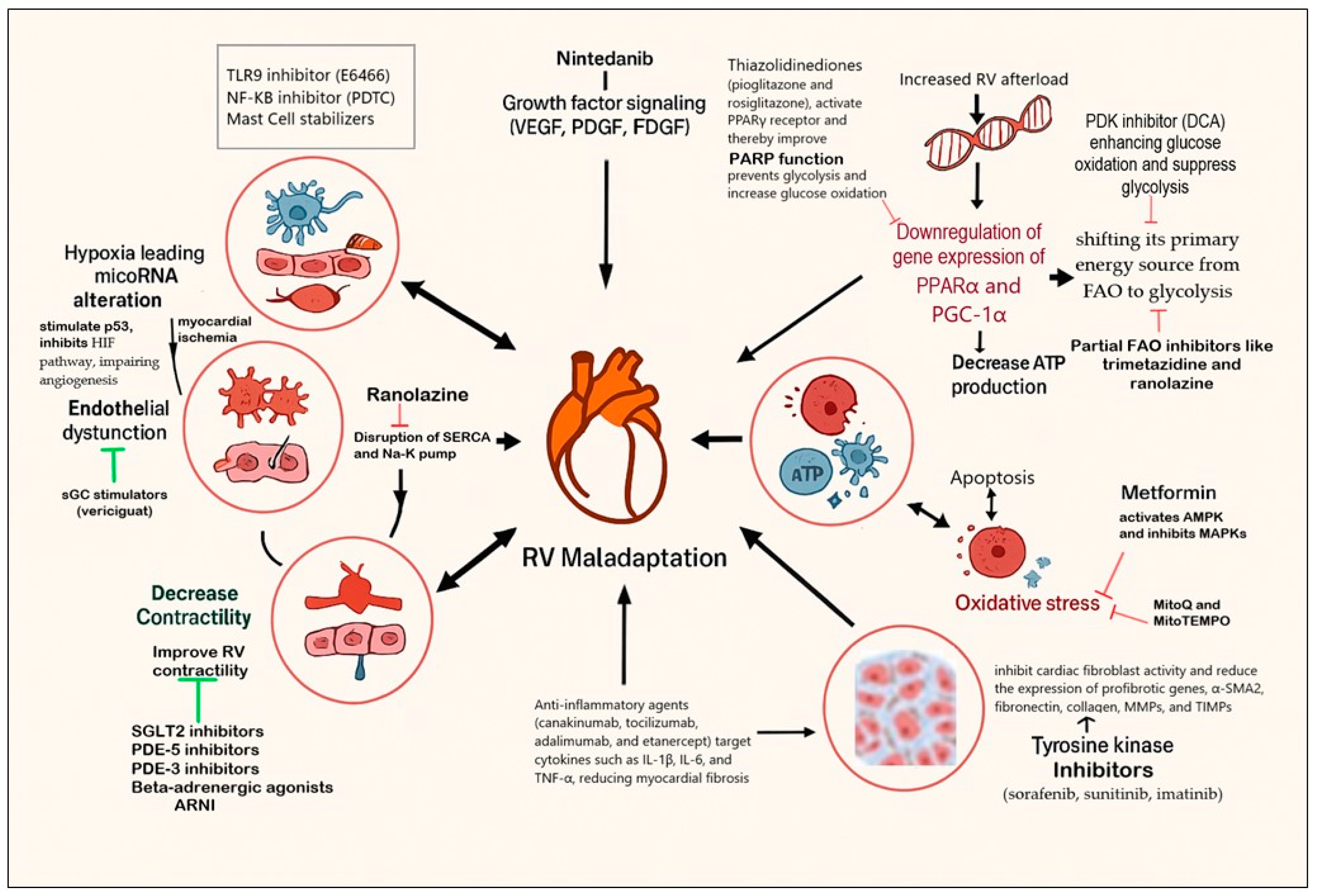 Children 12 00476 g004 Children 12 00476 g004