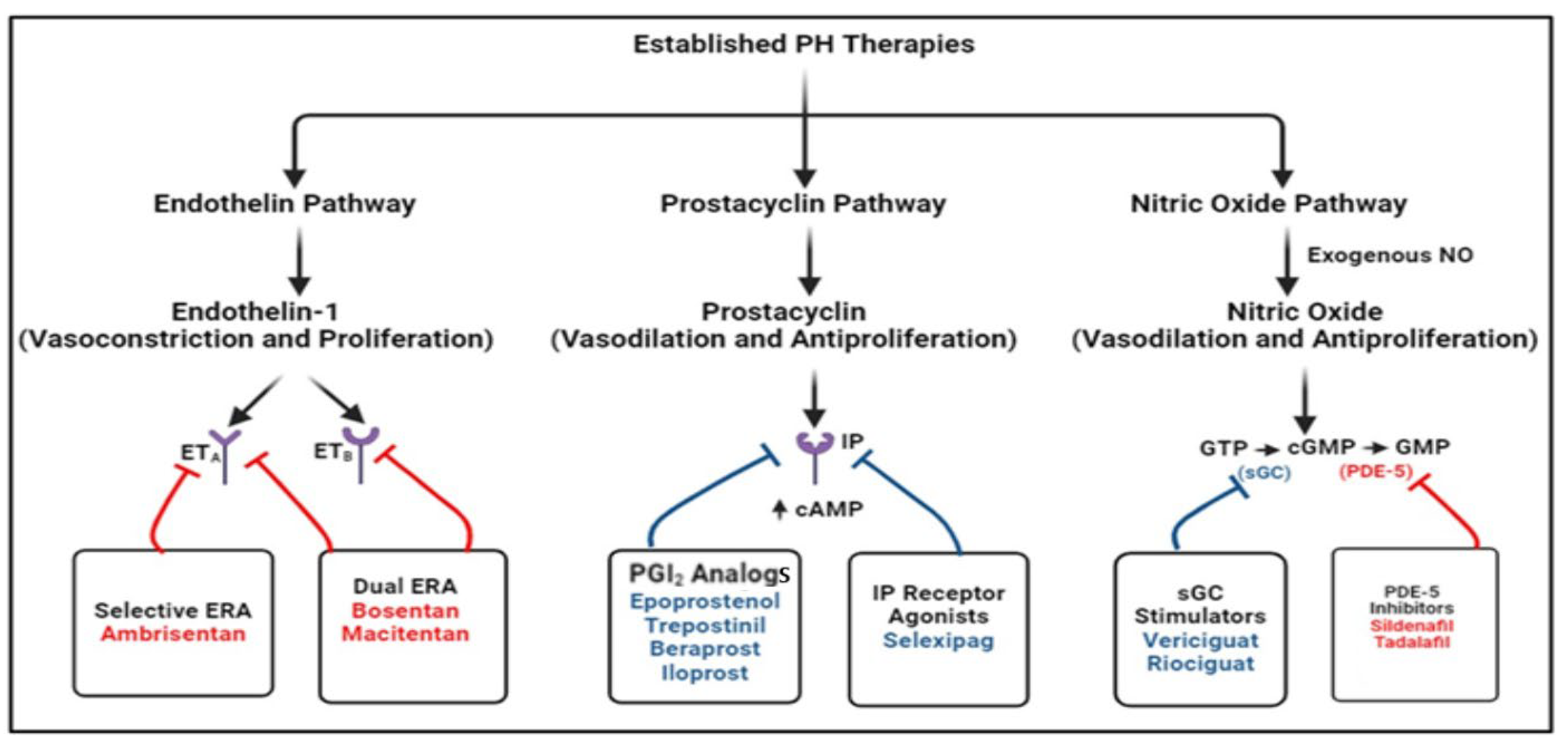 Children 12 00476 g005 Children 12 00476 g005