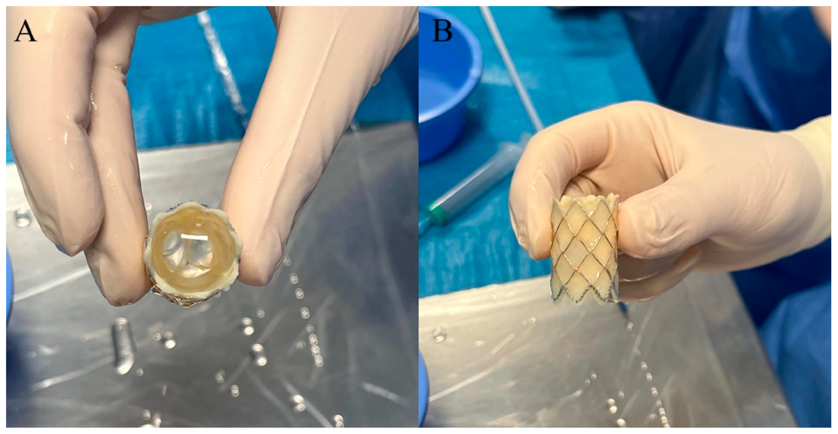 Children 12 00547 g001