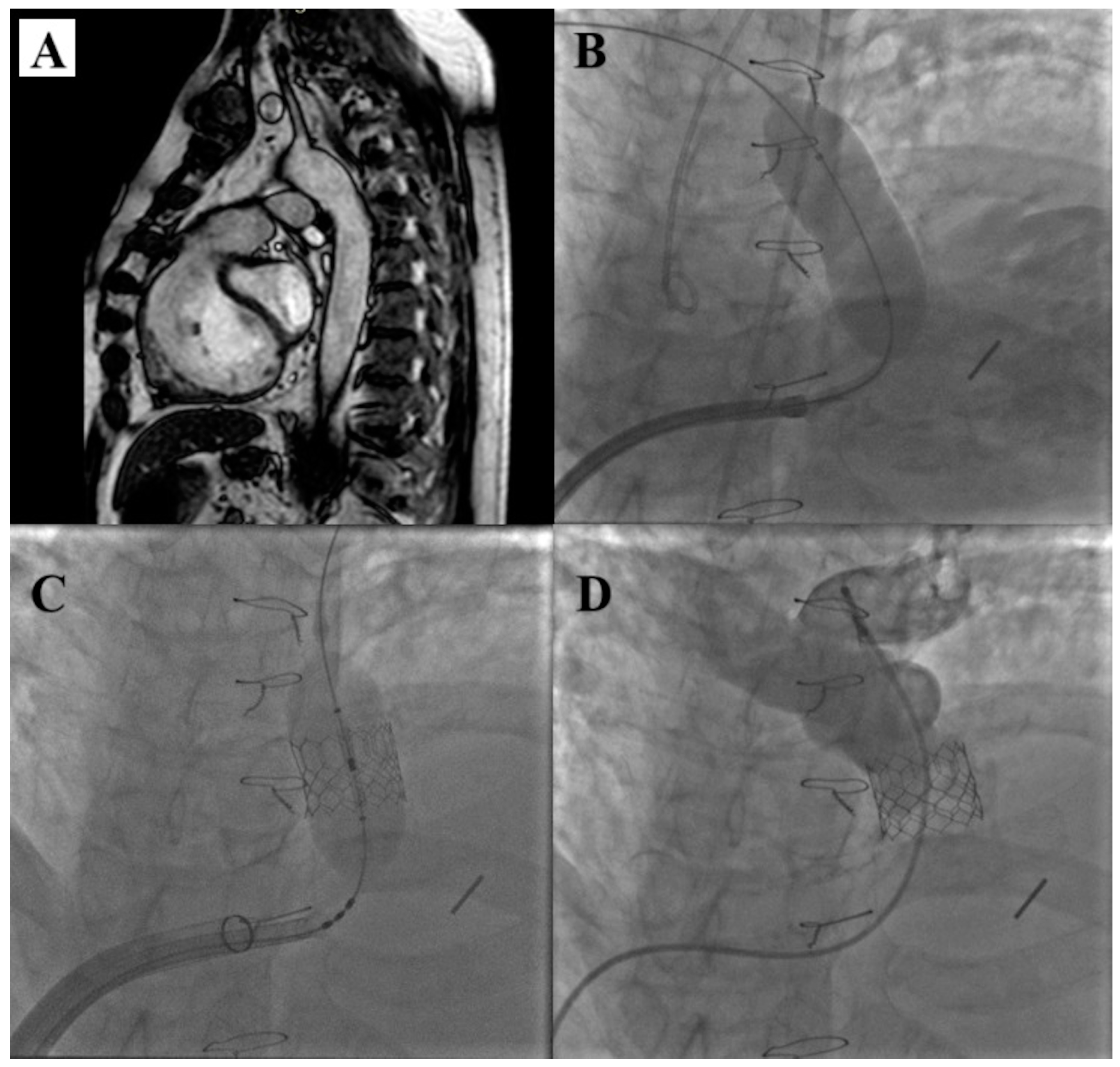 Children 12 00547 g004