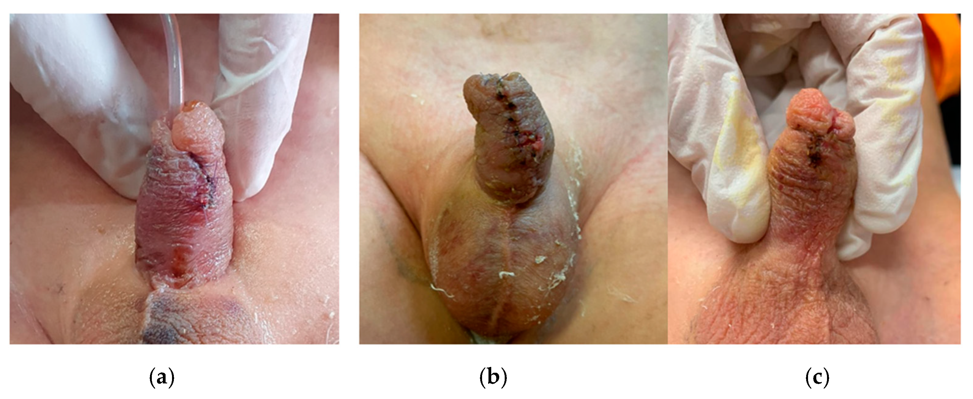 Children 12 00549 g002