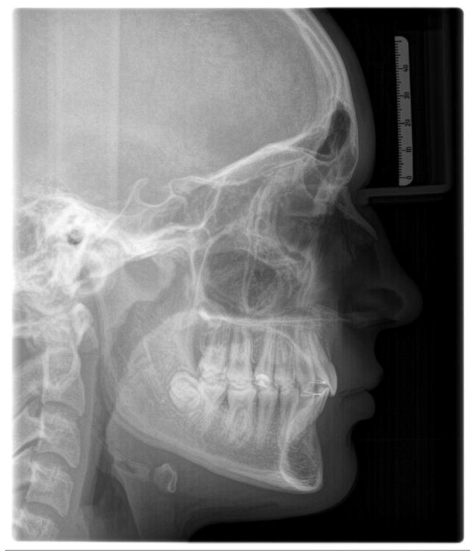 Children 12 01023 g002 Children 12 01023 g002