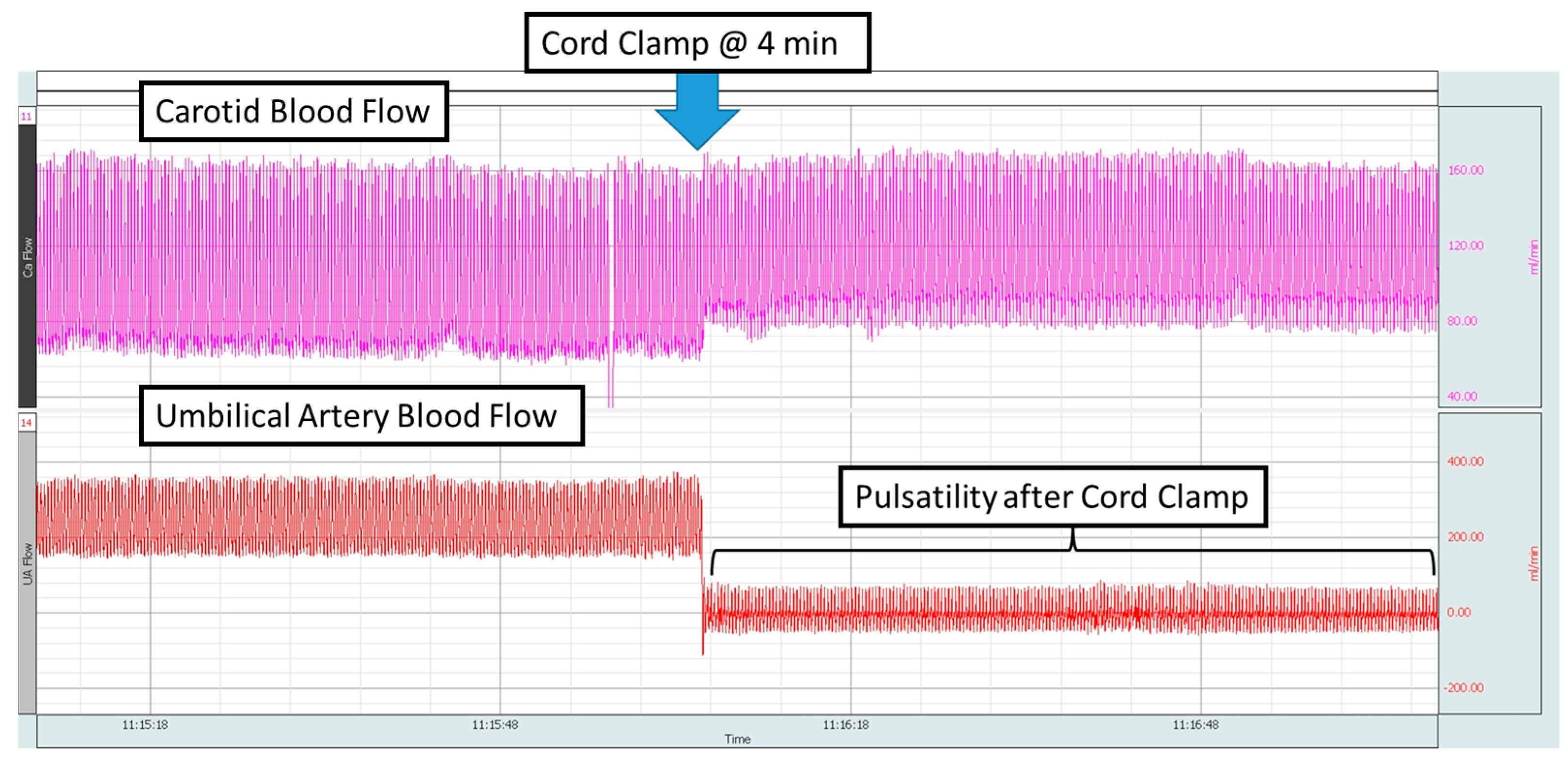 Children 12 01205 g001 Children 12 01205 g001