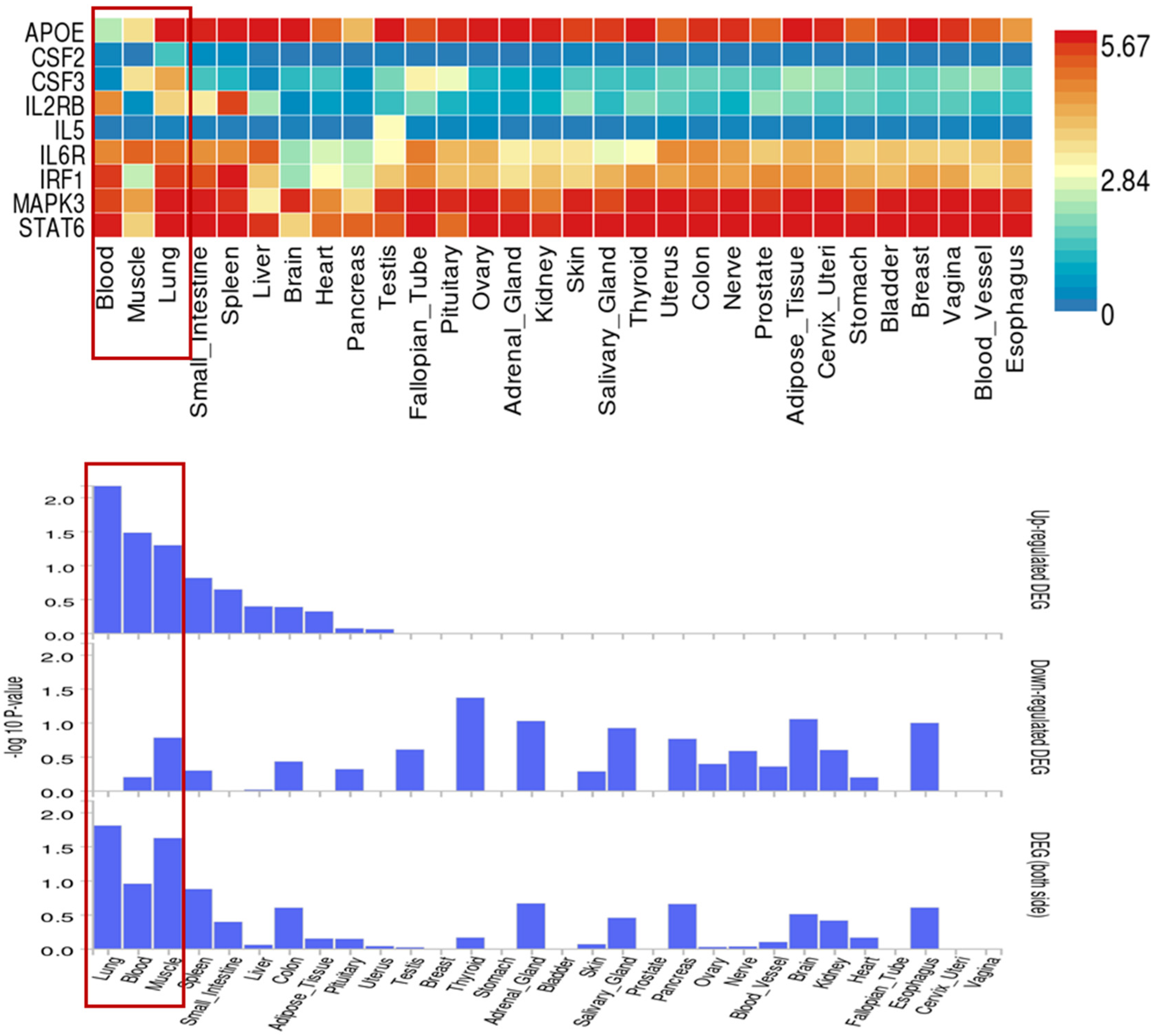 Children 12 01443 g007 Children 12 01443 g007