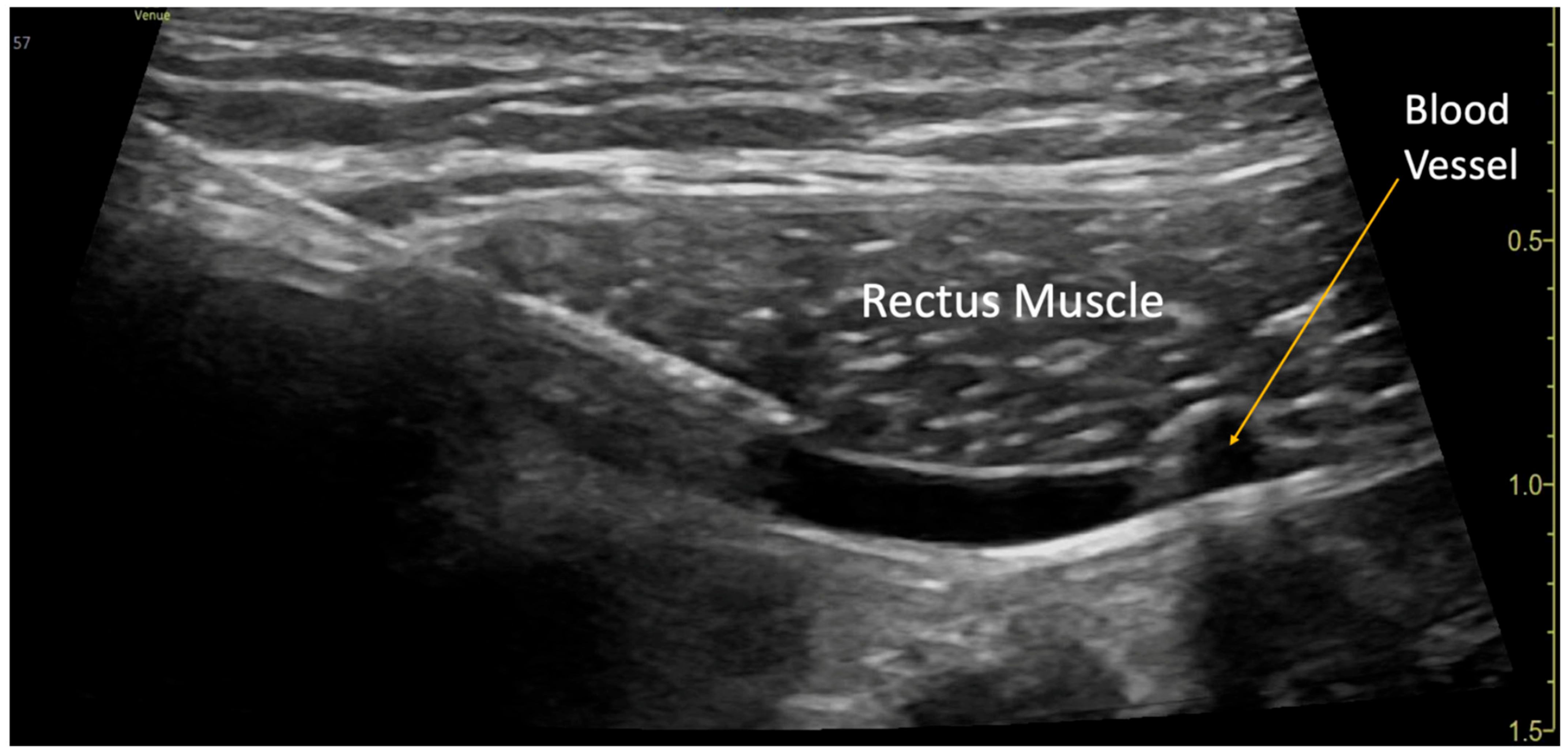 Children 12 01450 g001 Children 12 01450 g001