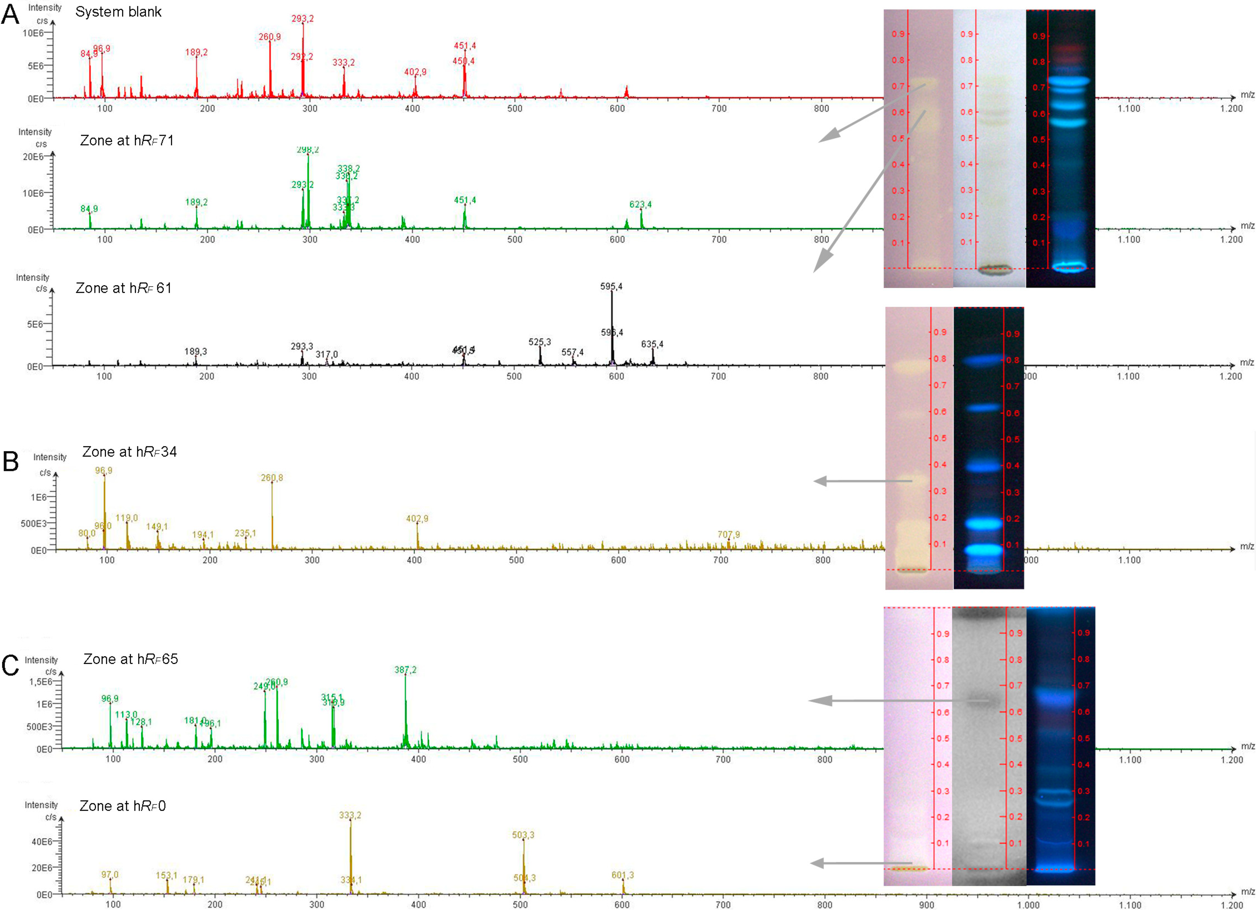 Chromatography Free Full Text Analysis Of Bioactive