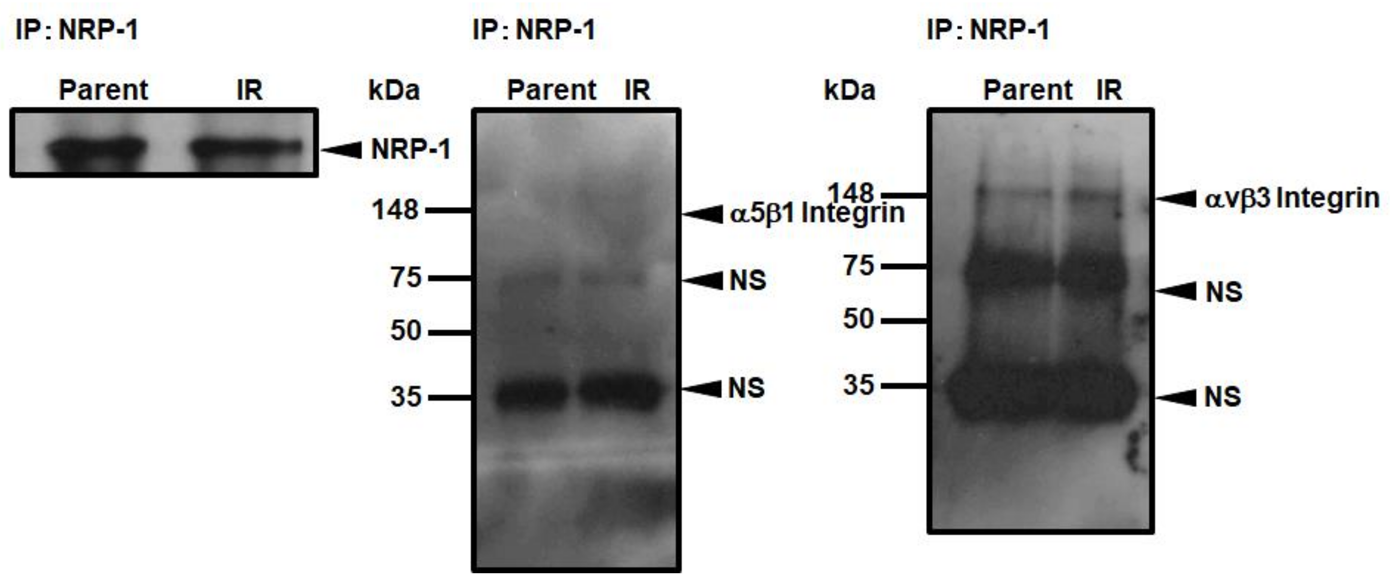 Cimb 43 00085 g005 Cimb 43 00085 g005
