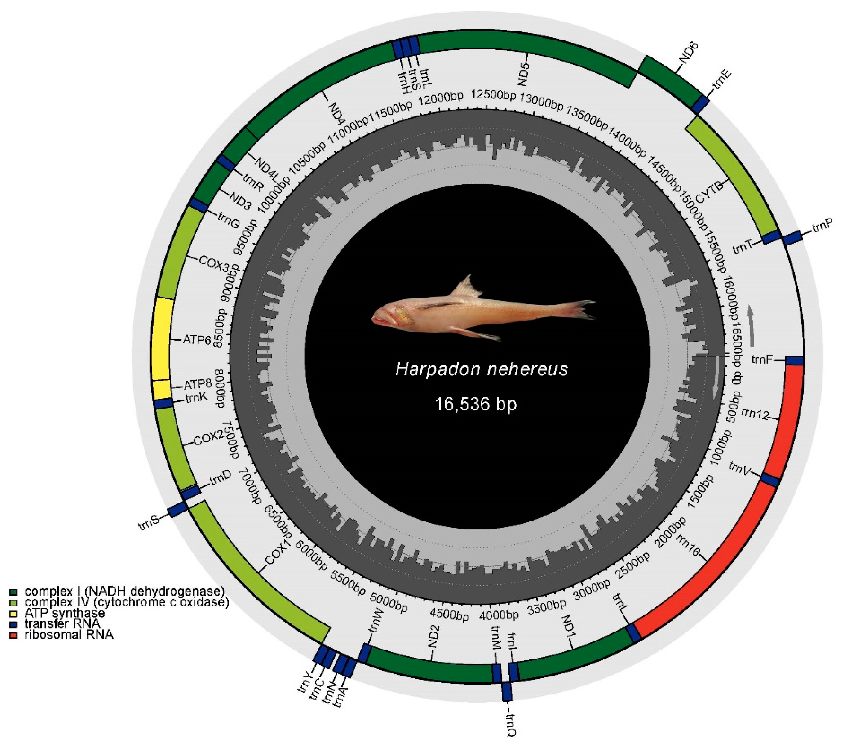 Cimb 43 00091 g003 Cimb 43 00091 g003