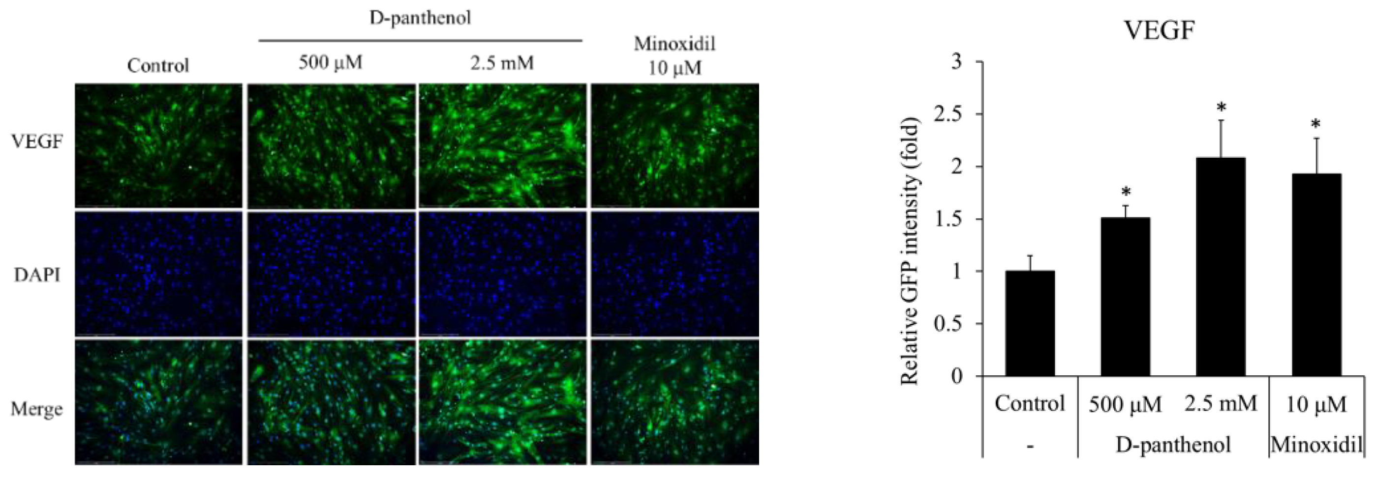 CIMB | Free Full-Text | Dexpanthenol Promotes Cell Growth by Preventing  Cell Senescence and Apoptosis in Cultured Human Hair Follicle Cells | HTML