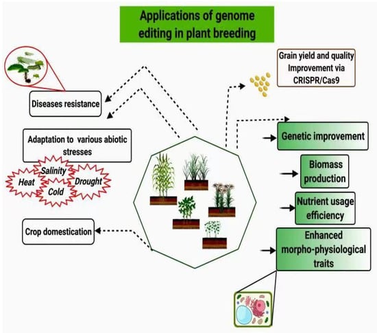 Cimb Free Full Text A Critical Review Recent Advancements In The Use Of Crispr Cas9 Technology To Enhance Crops And Alleviate Global Food Crises Html