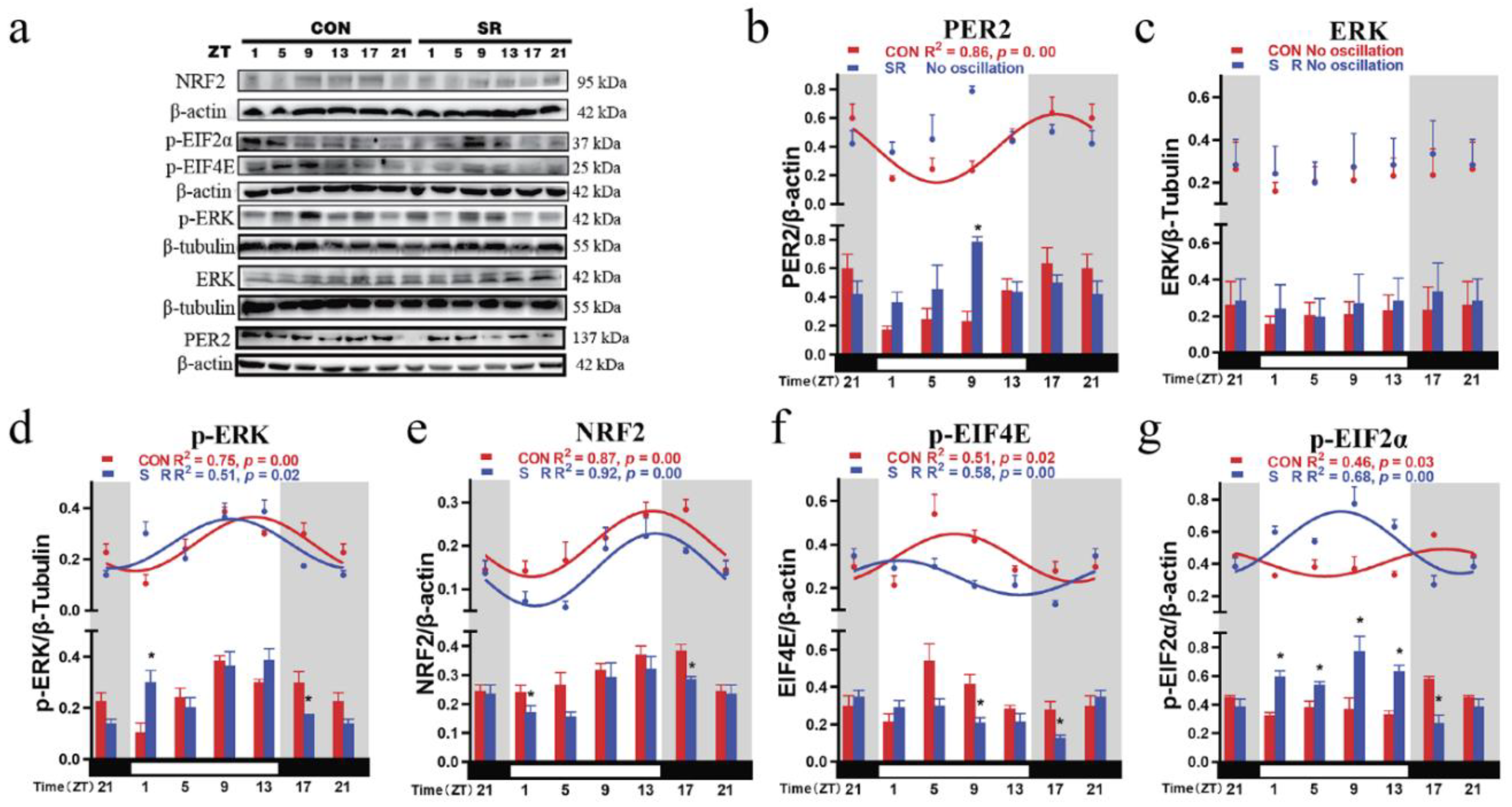 Cimb 44 00042 g003 Cimb 44 00042 g003