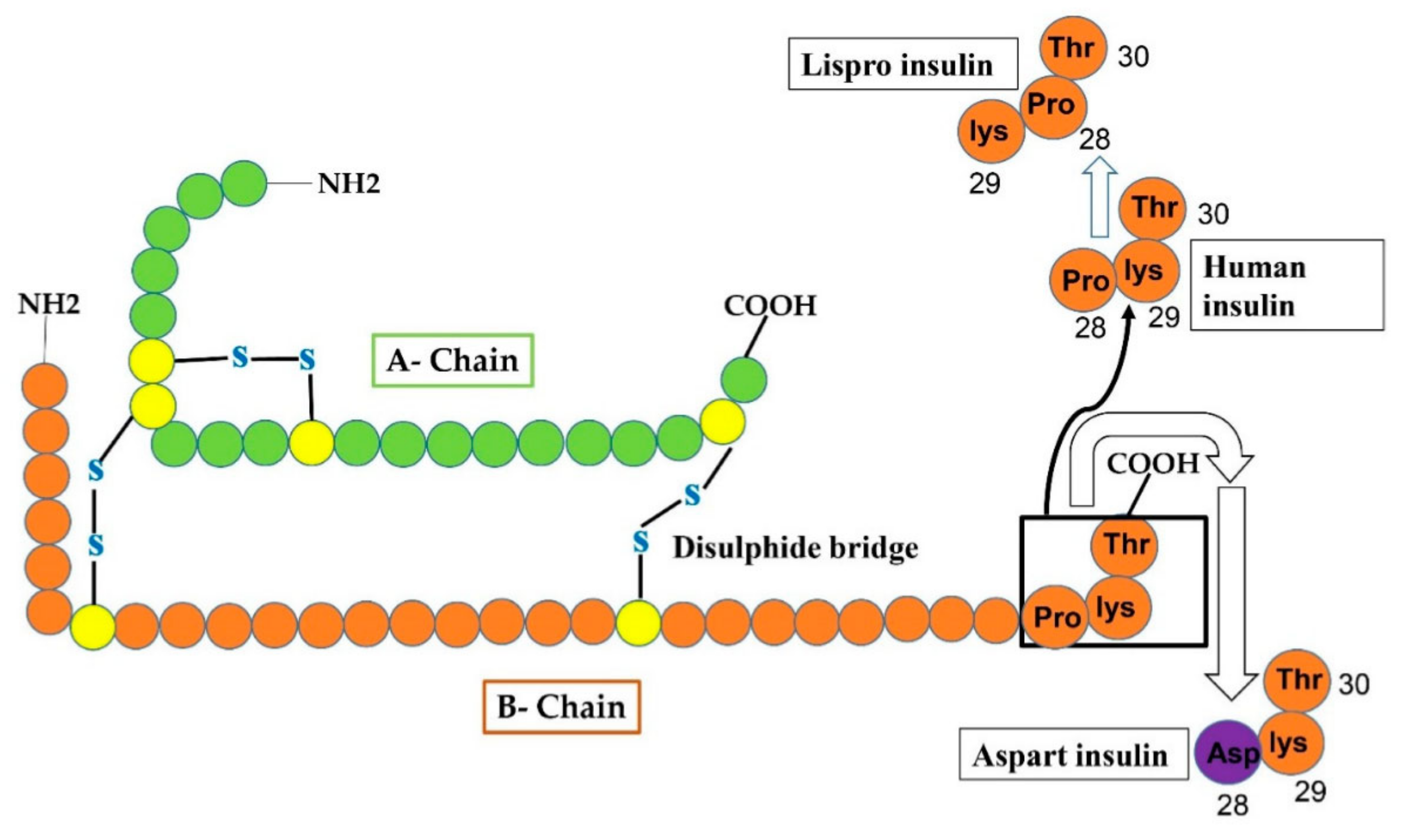 Cimb 44 00059 g003 Cimb 44 00059 g003