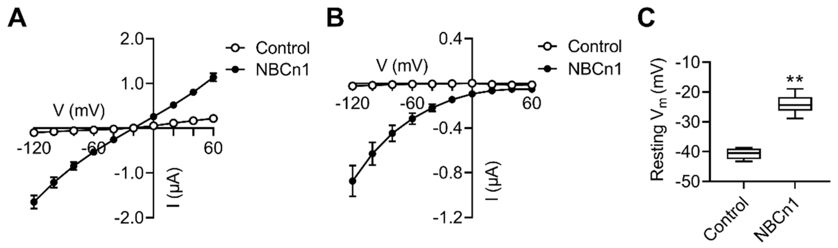 Cimb 44 00086 g001 Cimb 44 00086 g001