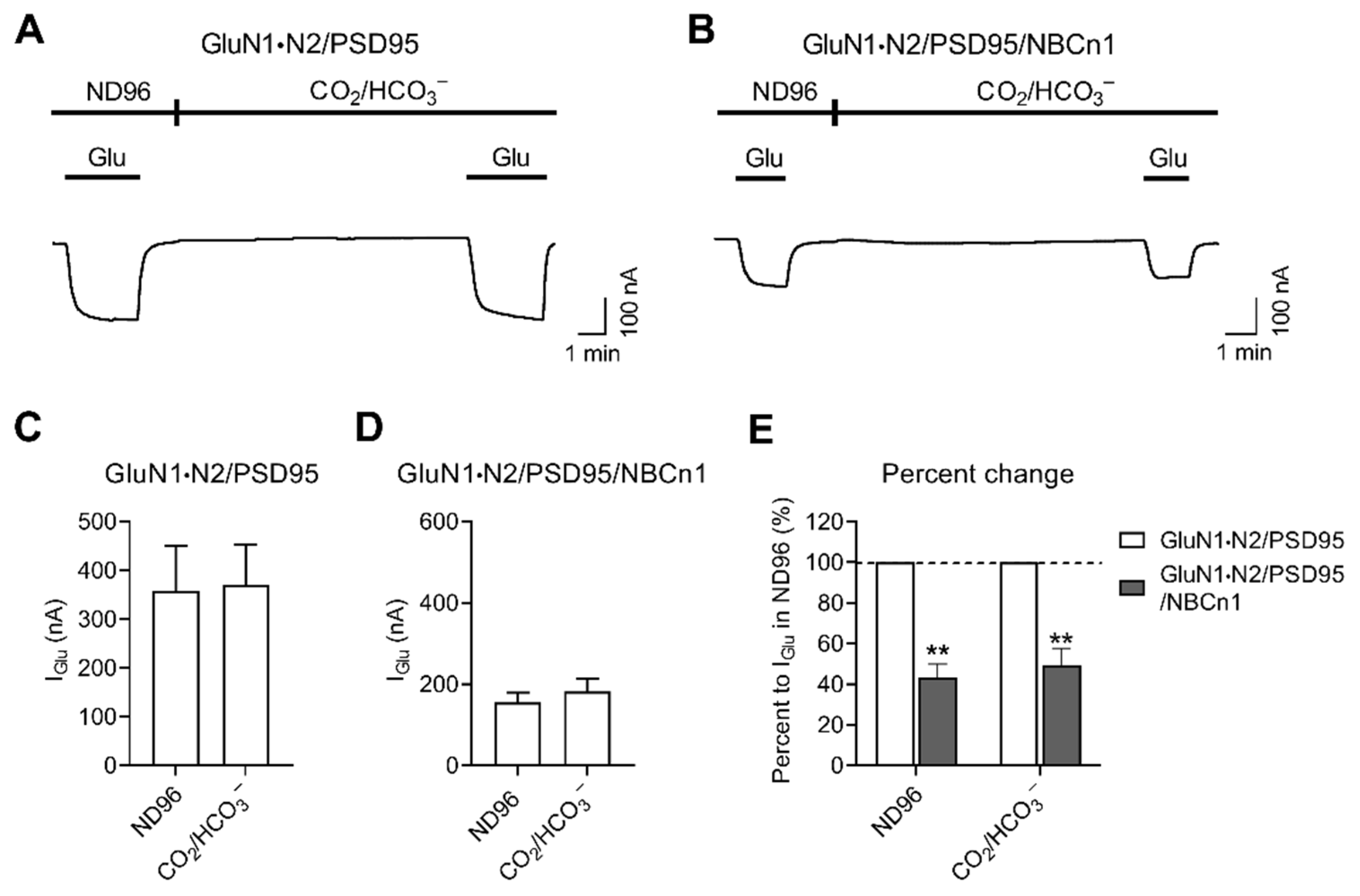 Cimb 44 00086 g005 Cimb 44 00086 g005