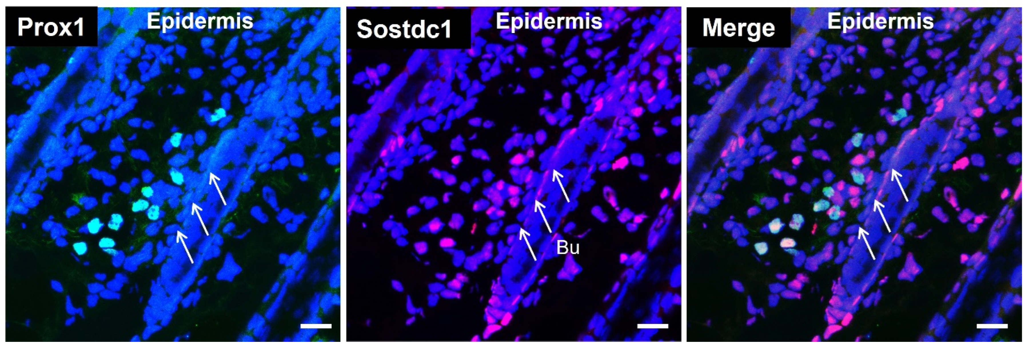 Cimb 44 00146 g002 Cimb 44 00146 g002