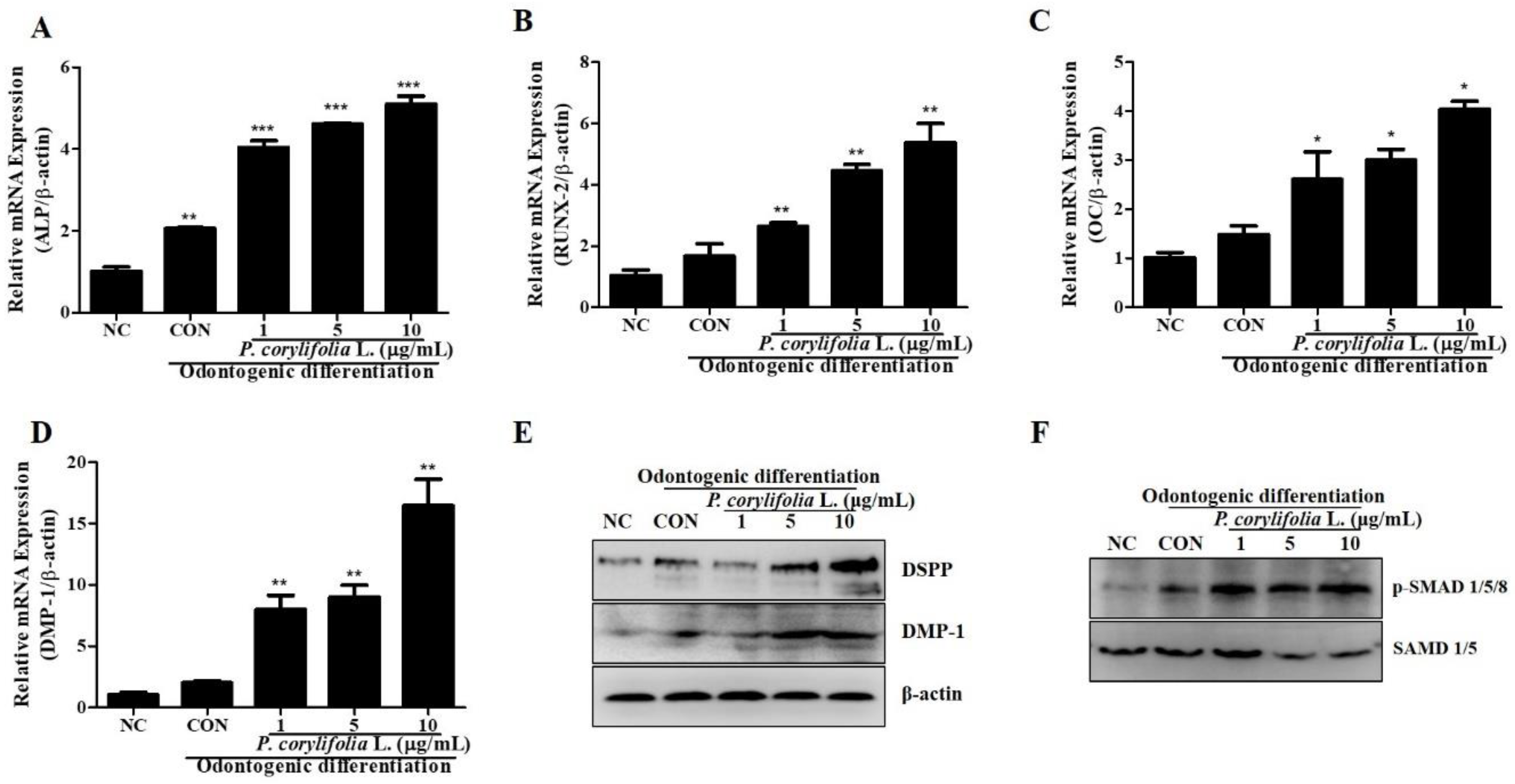 Cimb 44 00156 g002 Cimb 44 00156 g002