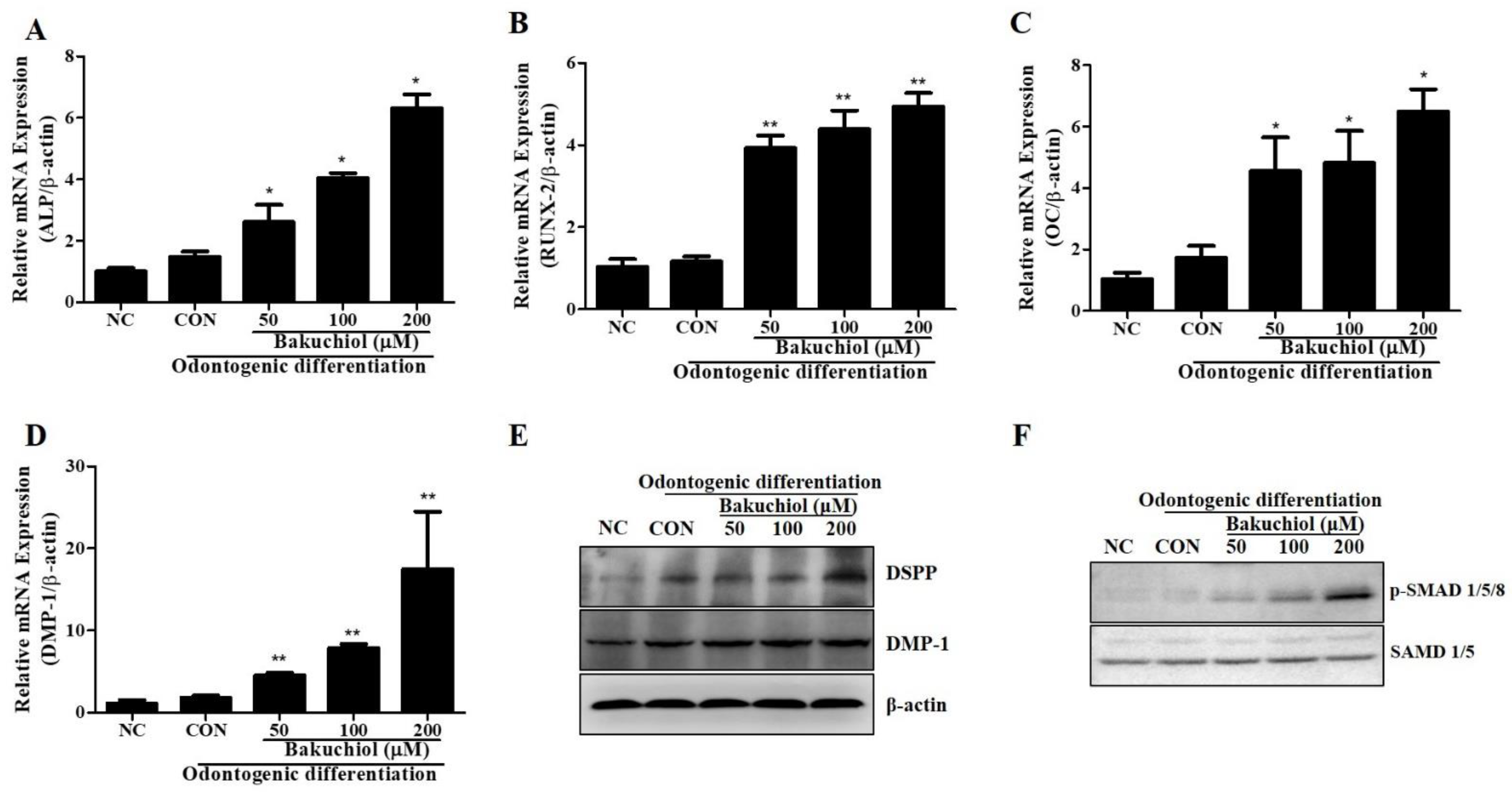 Cimb 44 00156 g004 Cimb 44 00156 g004