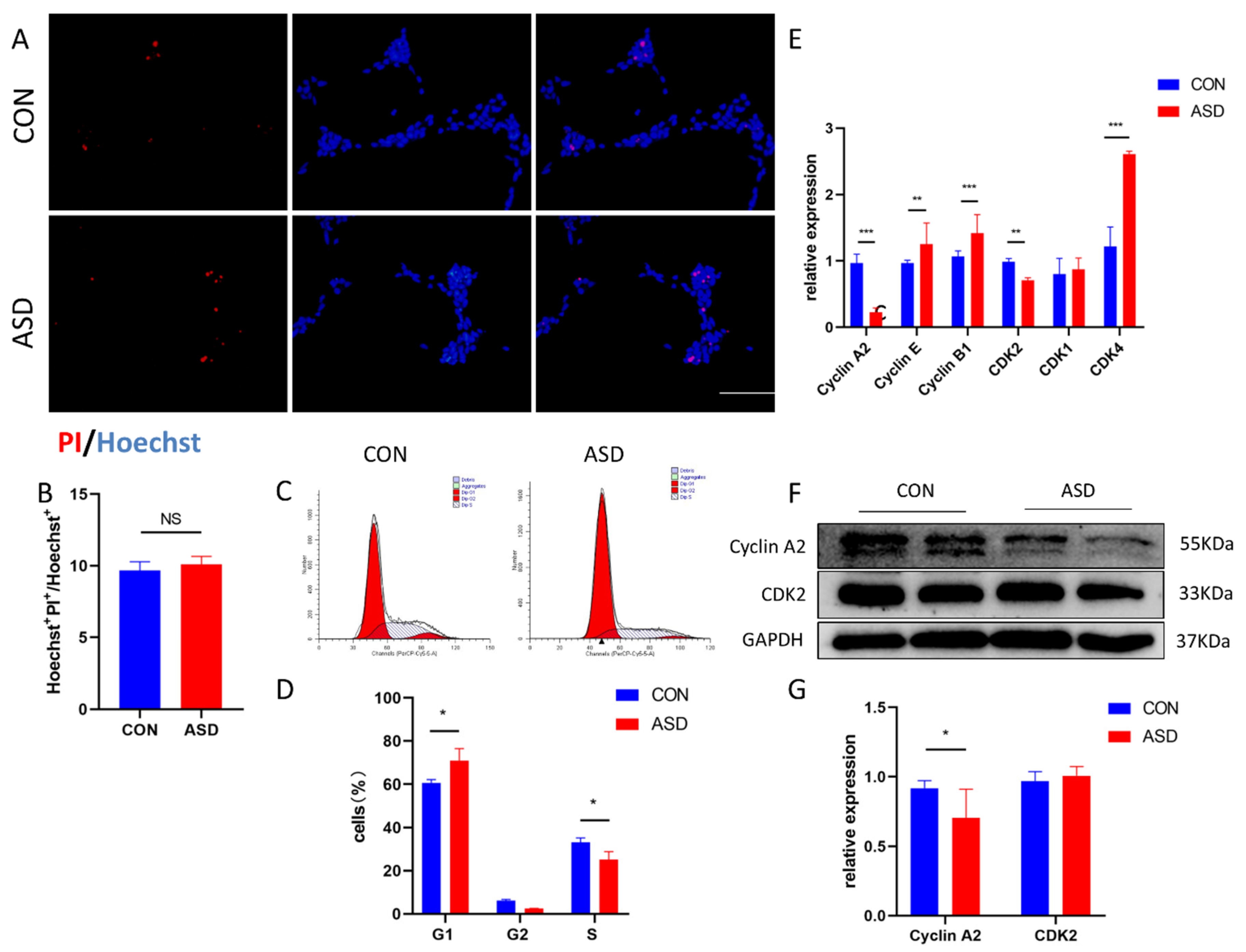 Cimb 44 00166 g002 Cimb 44 00166 g002