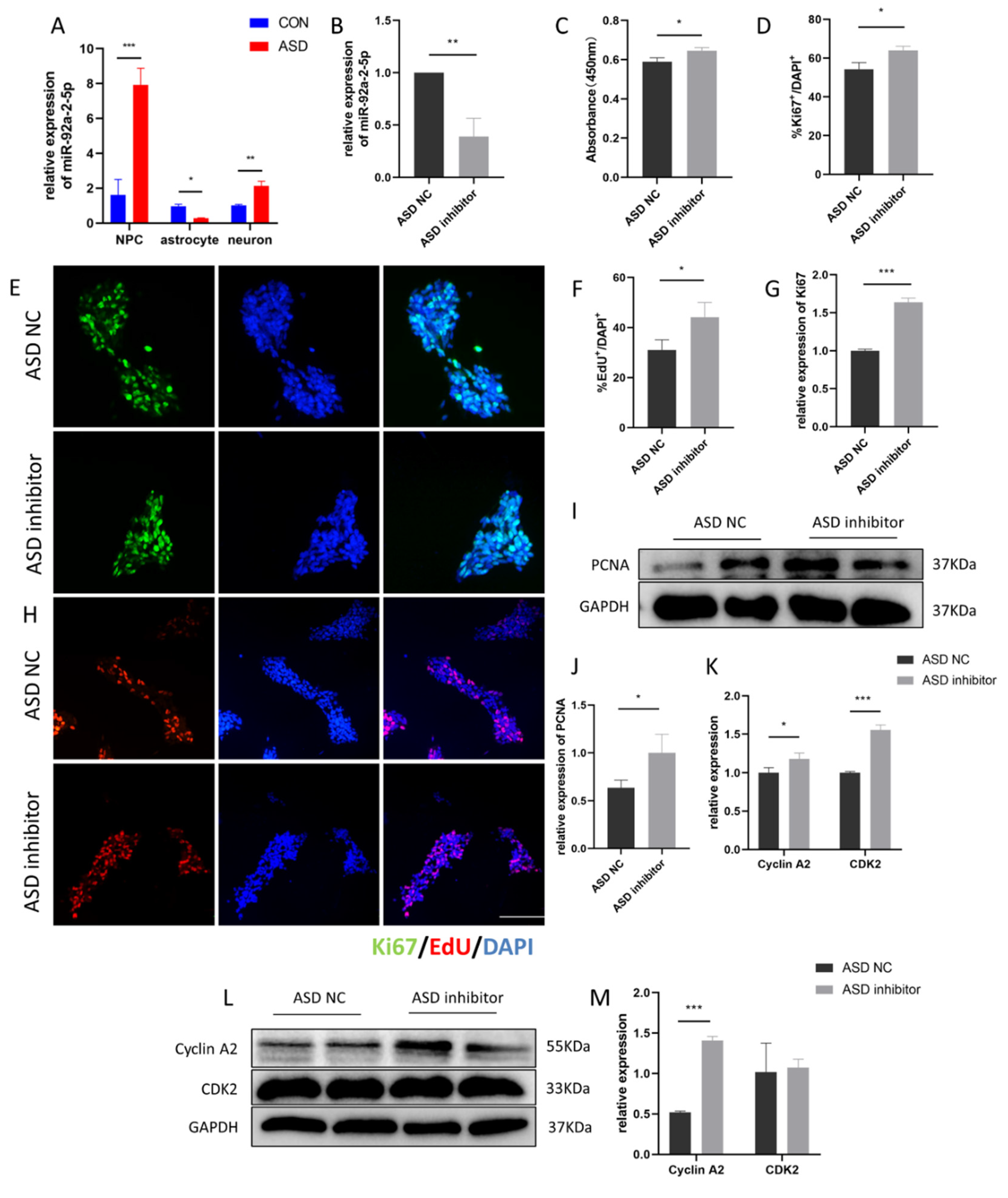 Cimb 44 00166 g004 Cimb 44 00166 g004