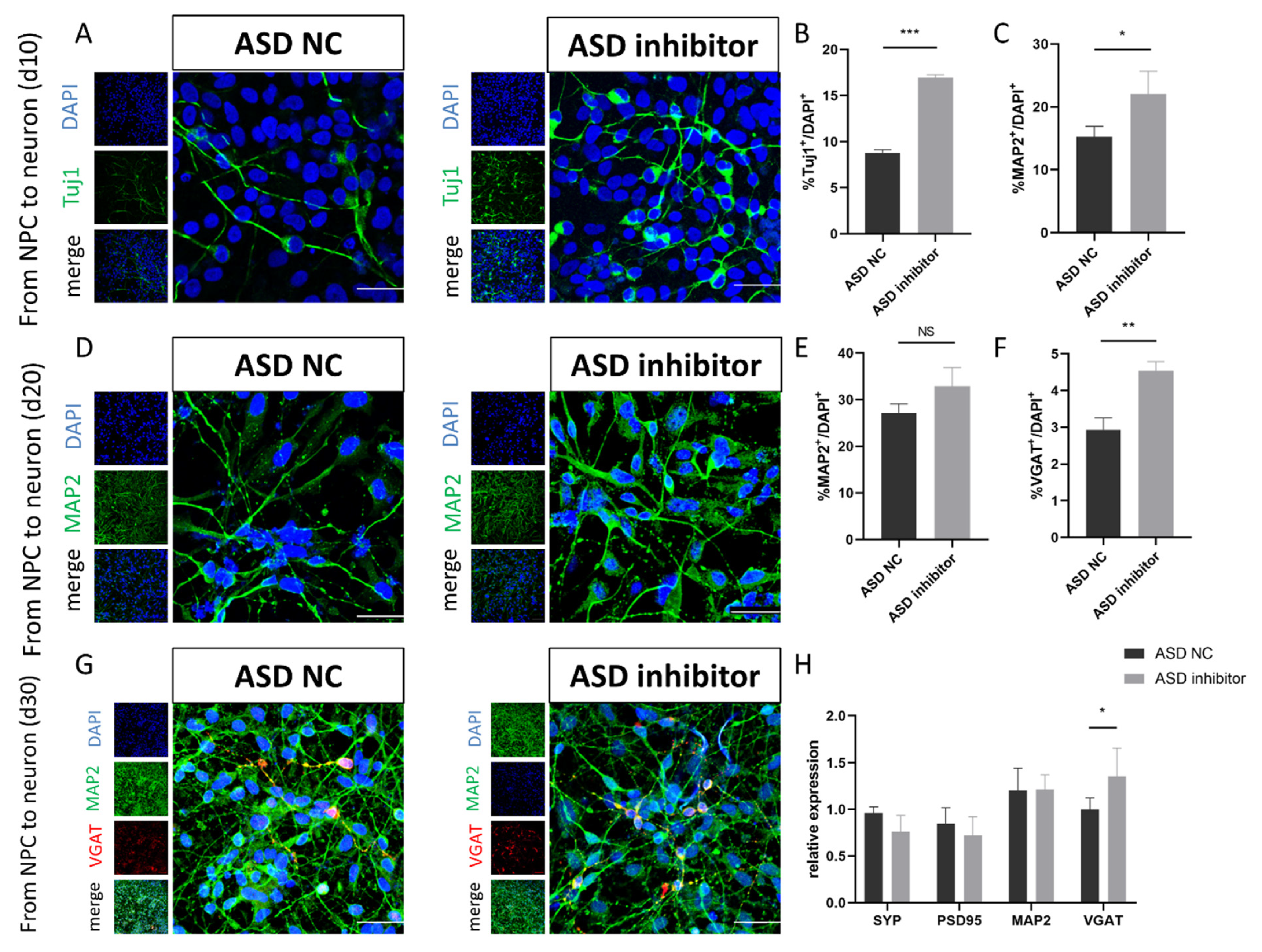 Cimb 44 00166 g005 Cimb 44 00166 g005