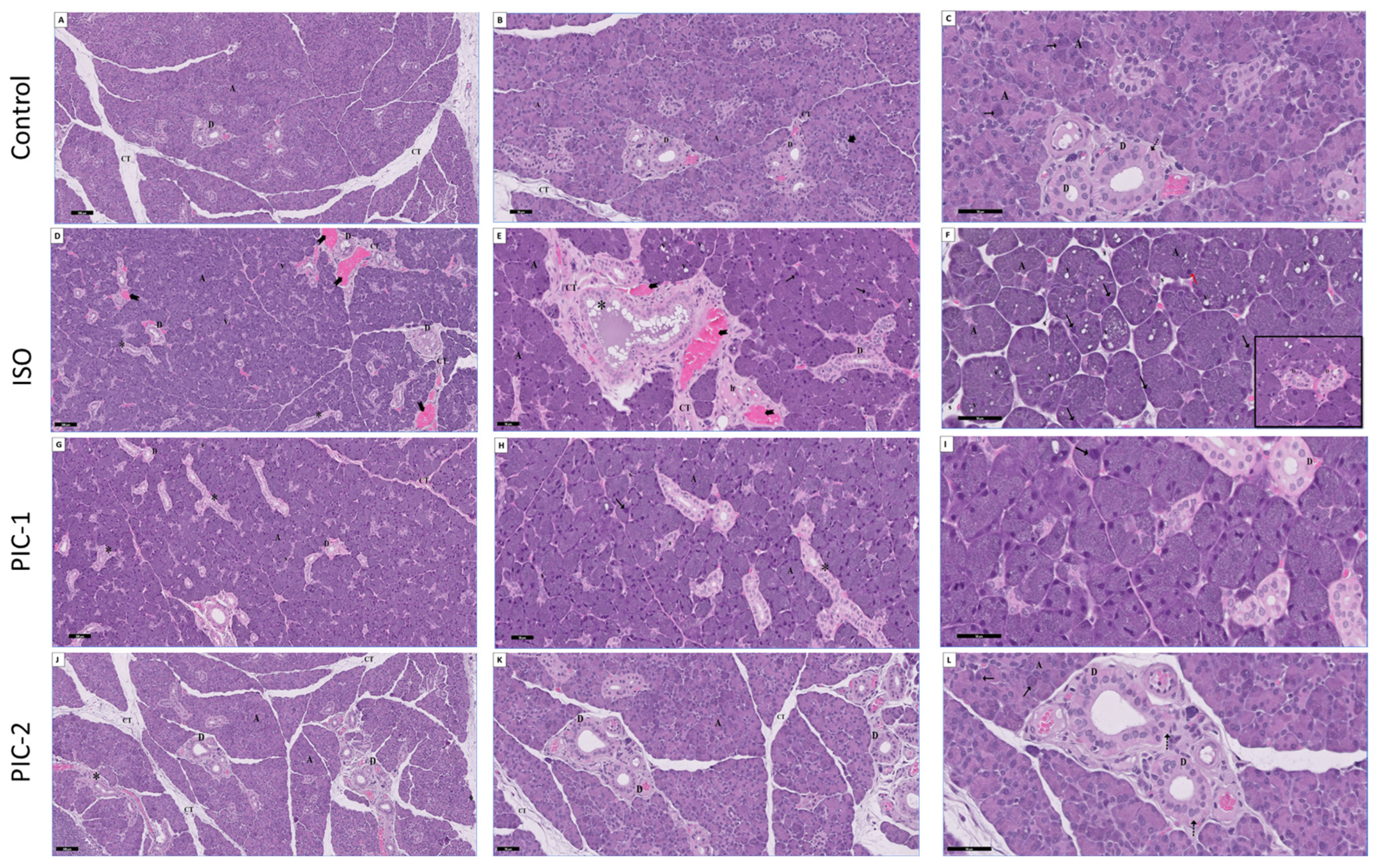 Cimb 44 00171 g002 Cimb 44 00171 g002