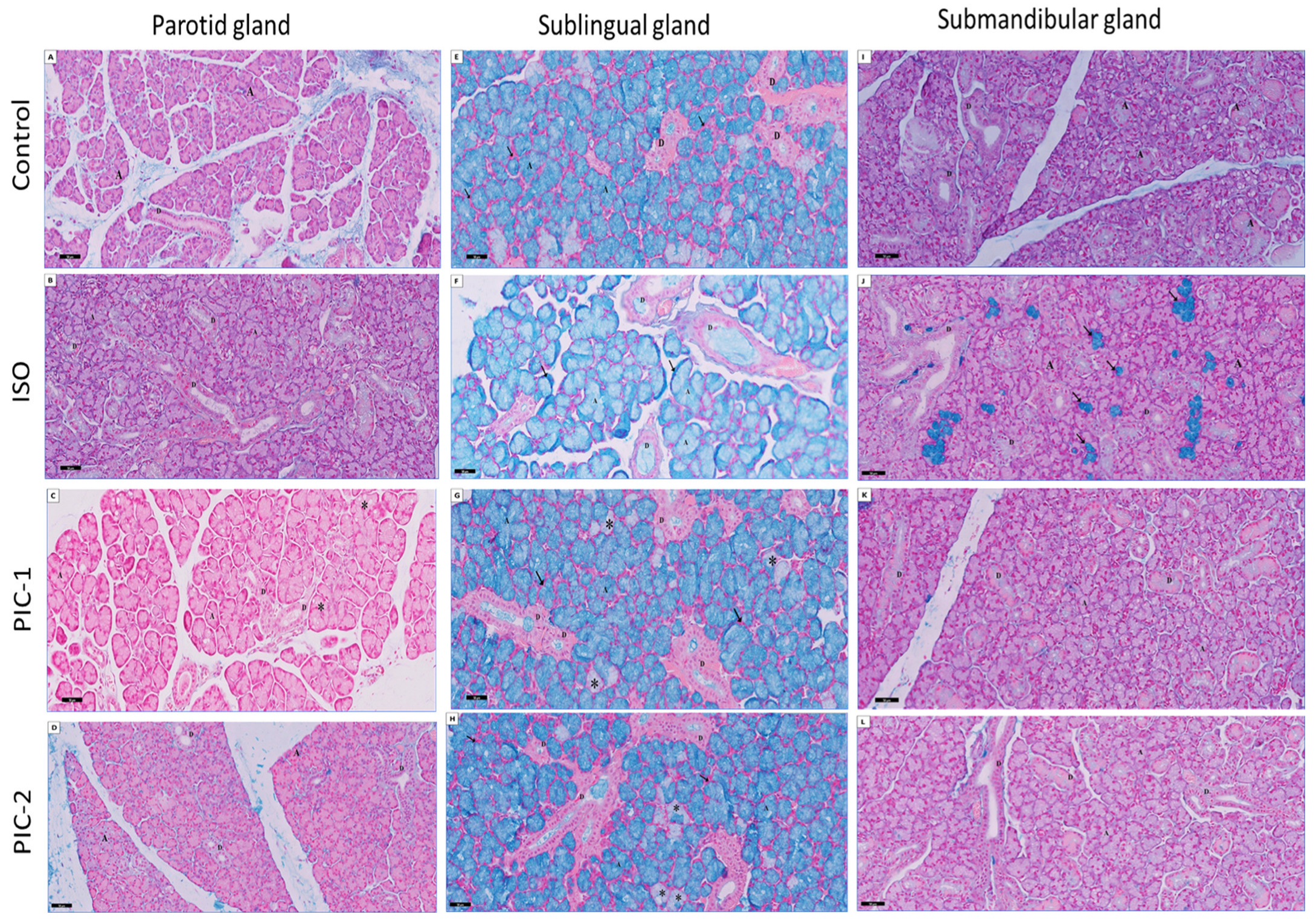 Cimb 44 00171 g006 Cimb 44 00171 g006
