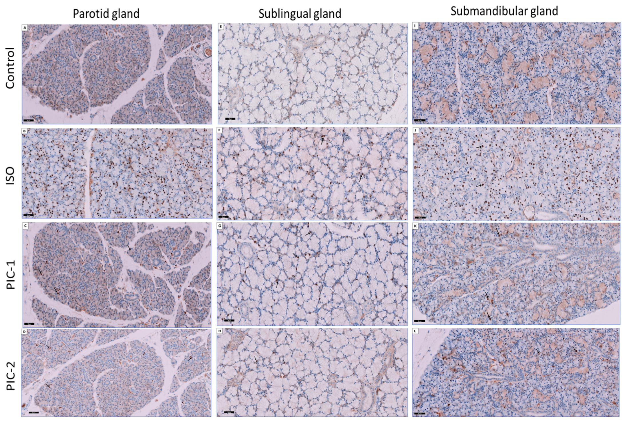 Cimb 44 00171 g008 Cimb 44 00171 g008