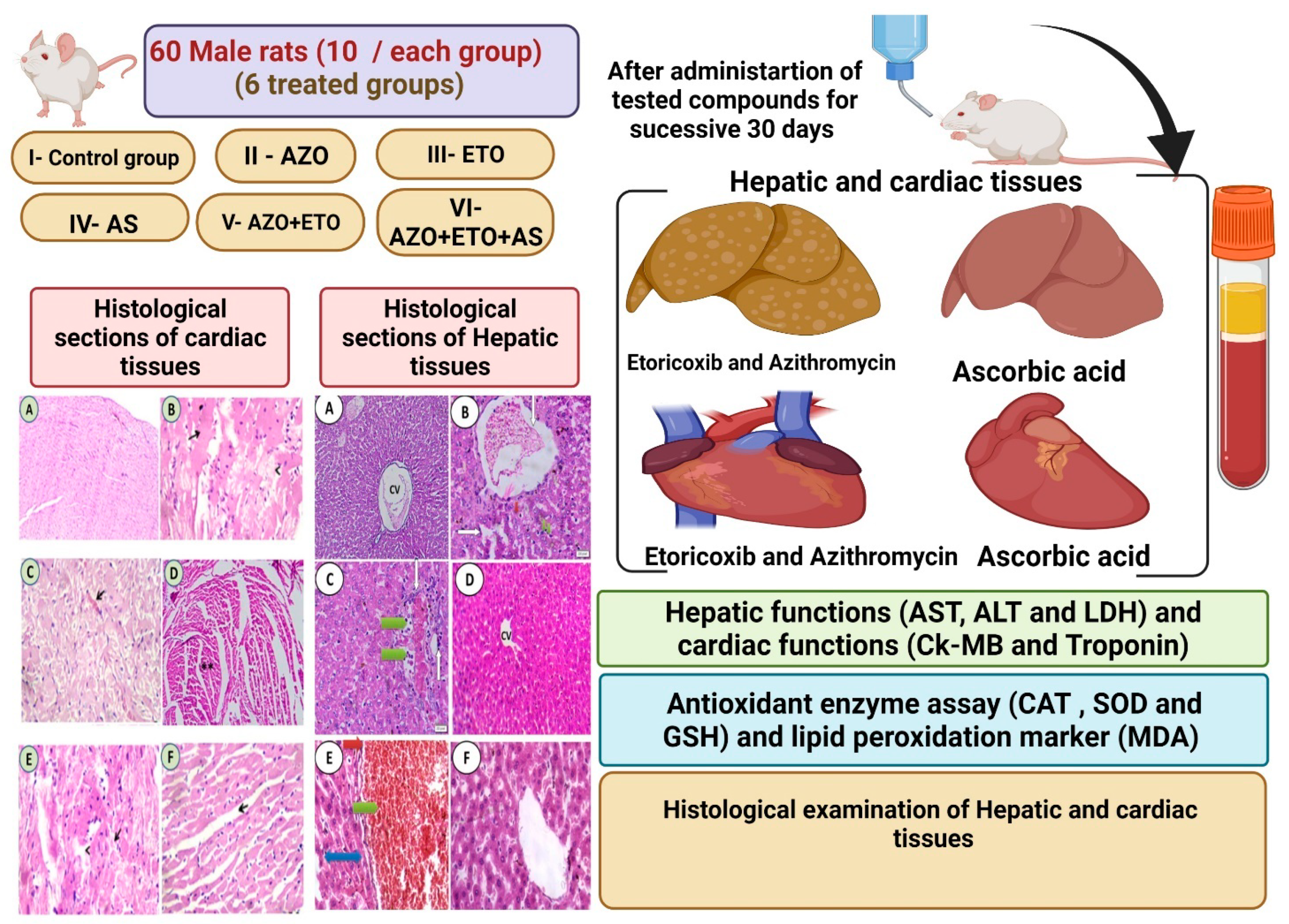 Cimb 44 00172 g001 Cimb 44 00172 g001