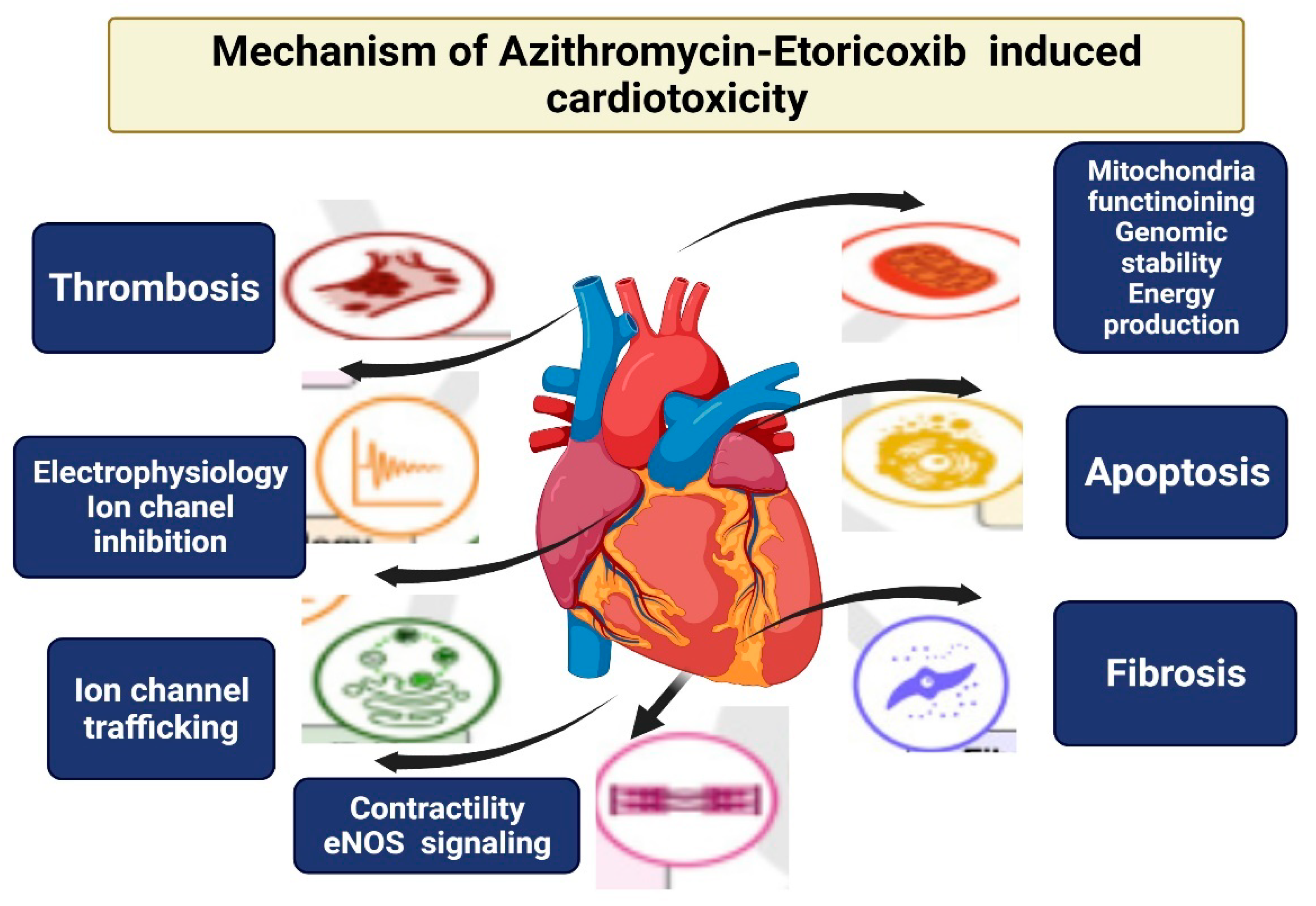 Cimb 44 00172 g005 Cimb 44 00172 g005