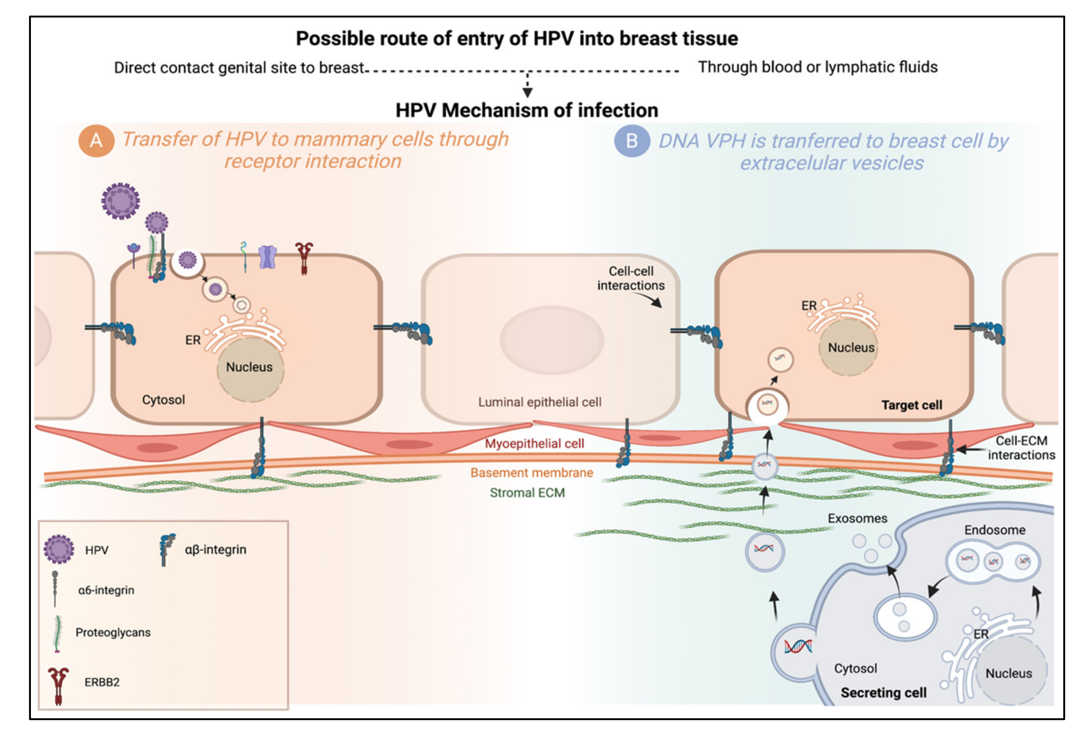 Cimb 44 00250 g003 Cimb 44 00250 g003