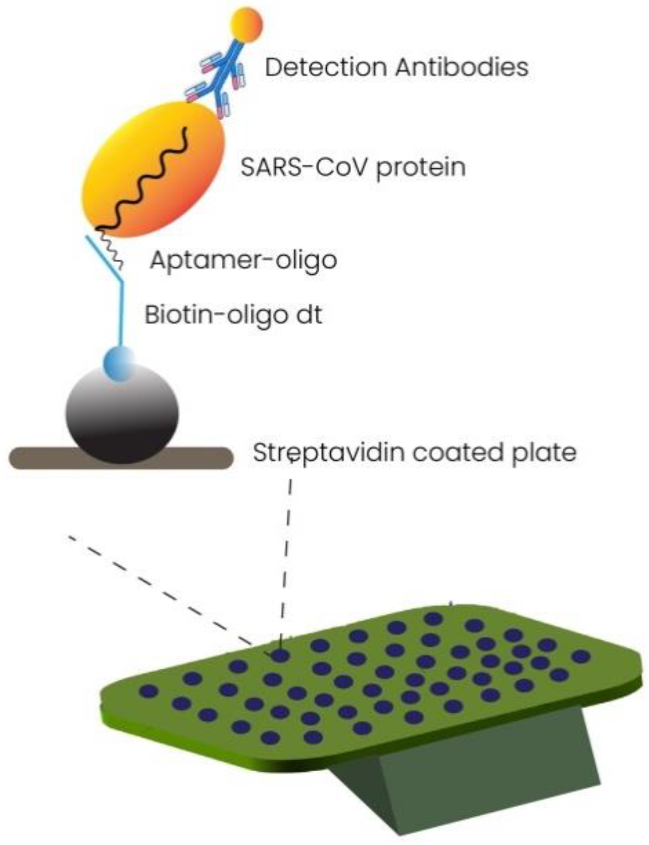 Cimb 44 00325 g004 Cimb 44 00325 g004