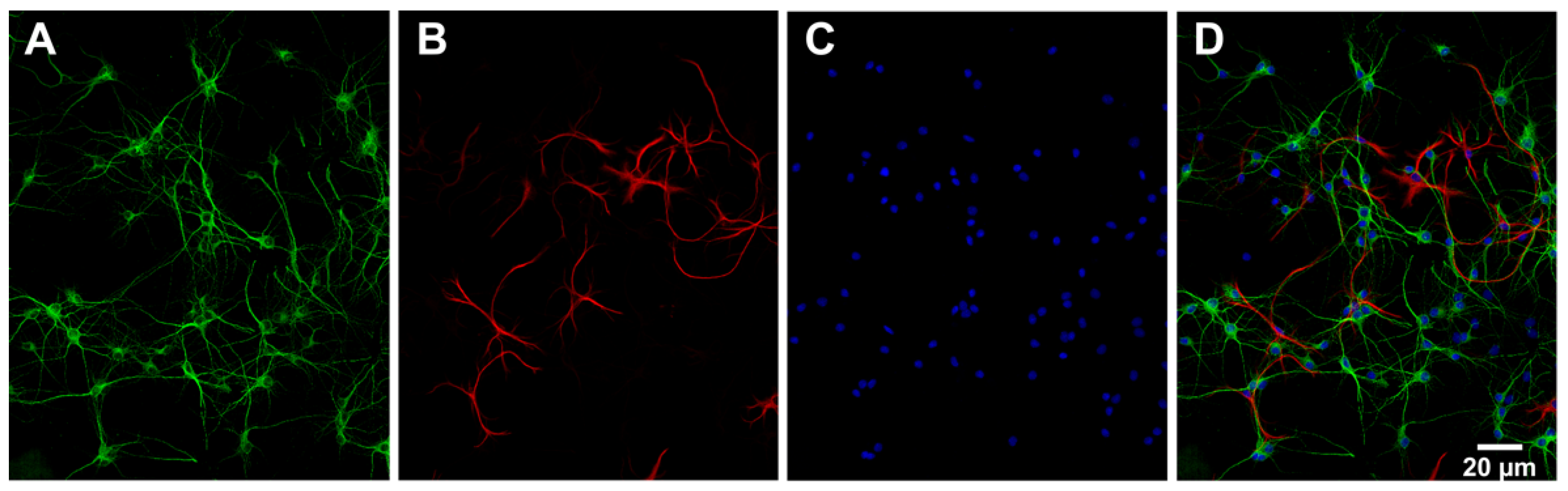 Cimb 44 00340 g003 Cimb 44 00340 g003
