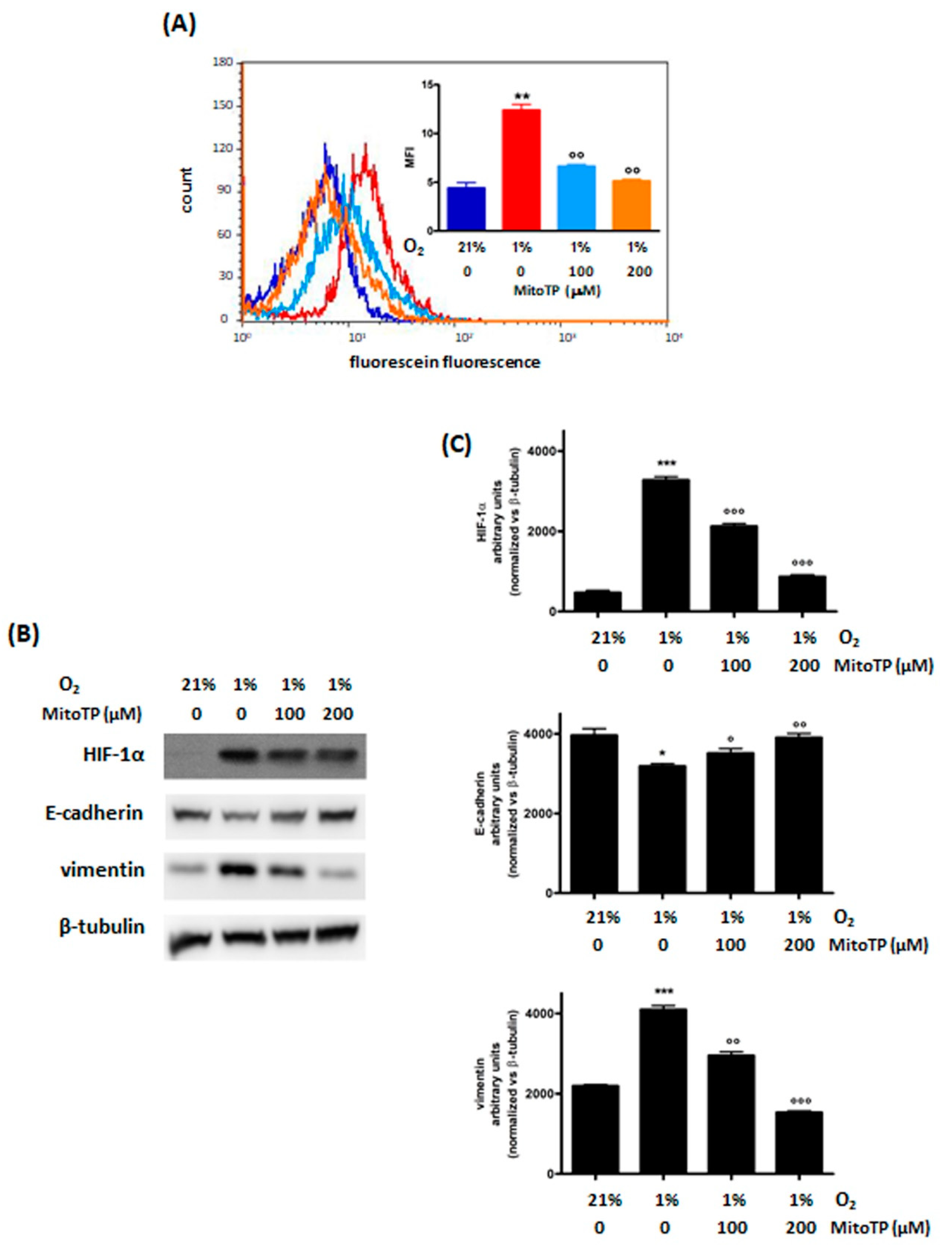 Cimb 44 00359 g002 Cimb 44 00359 g002