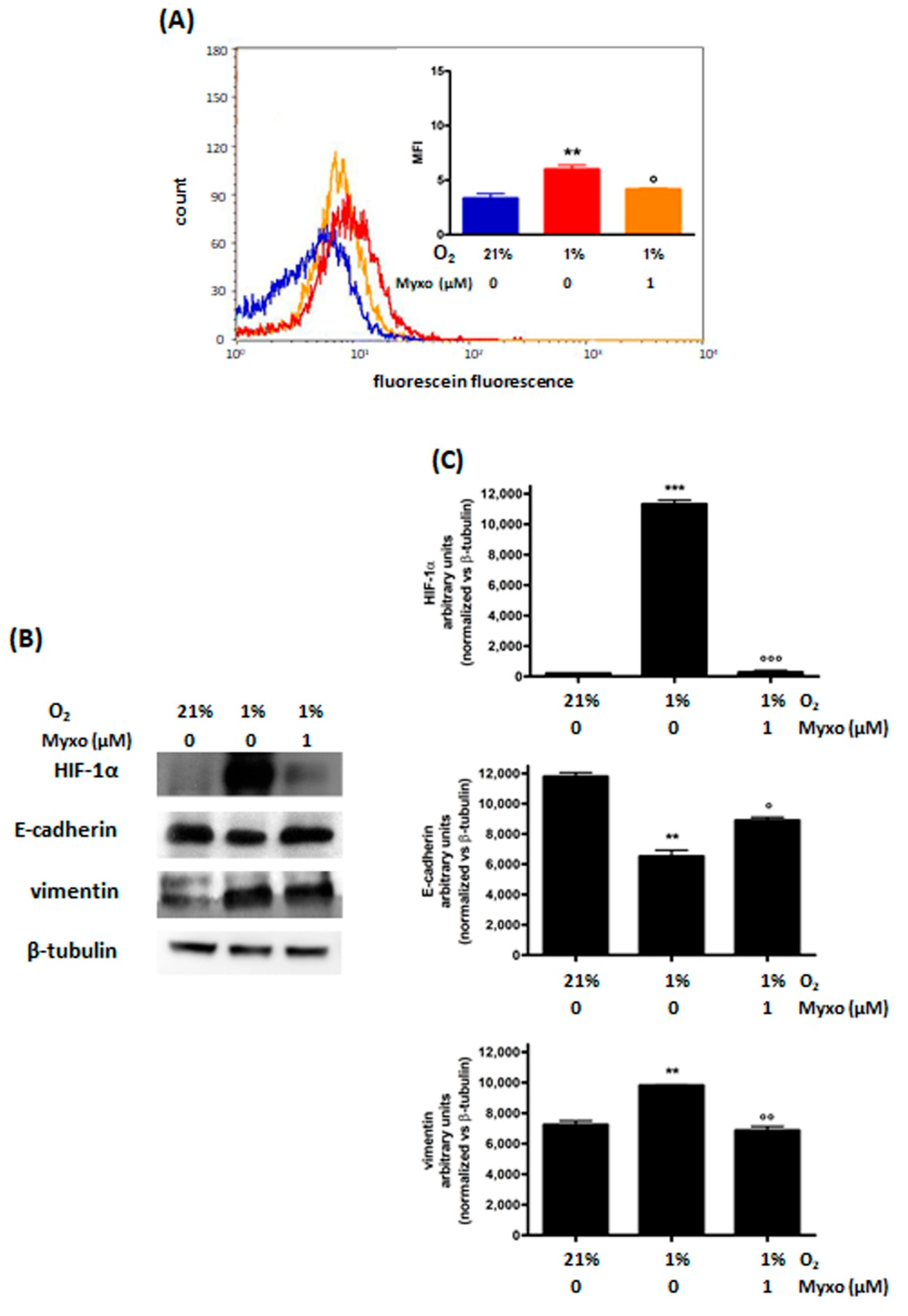 Cimb 44 00359 g003 Cimb 44 00359 g003