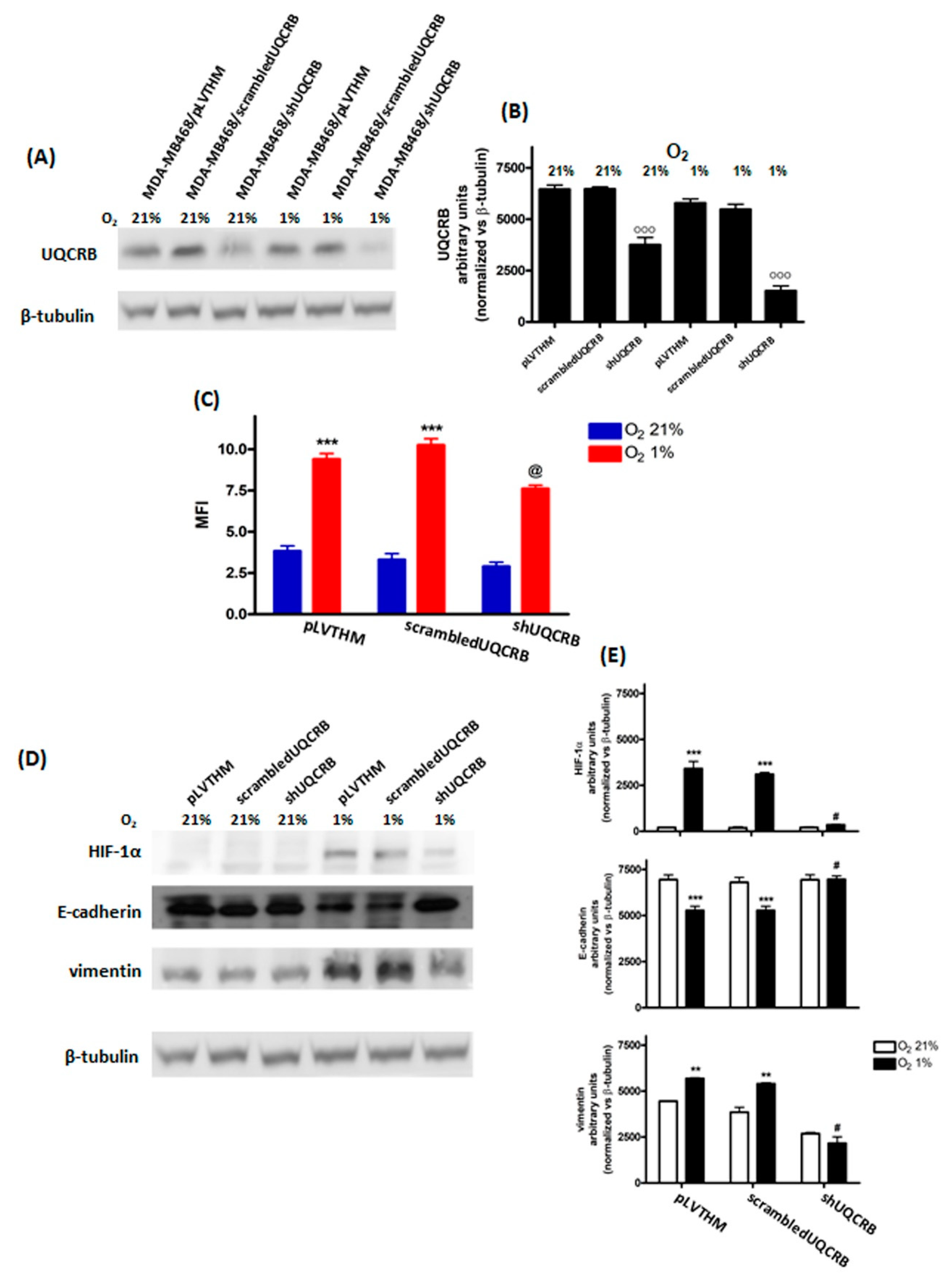 Cimb 44 00359 g005 Cimb 44 00359 g005