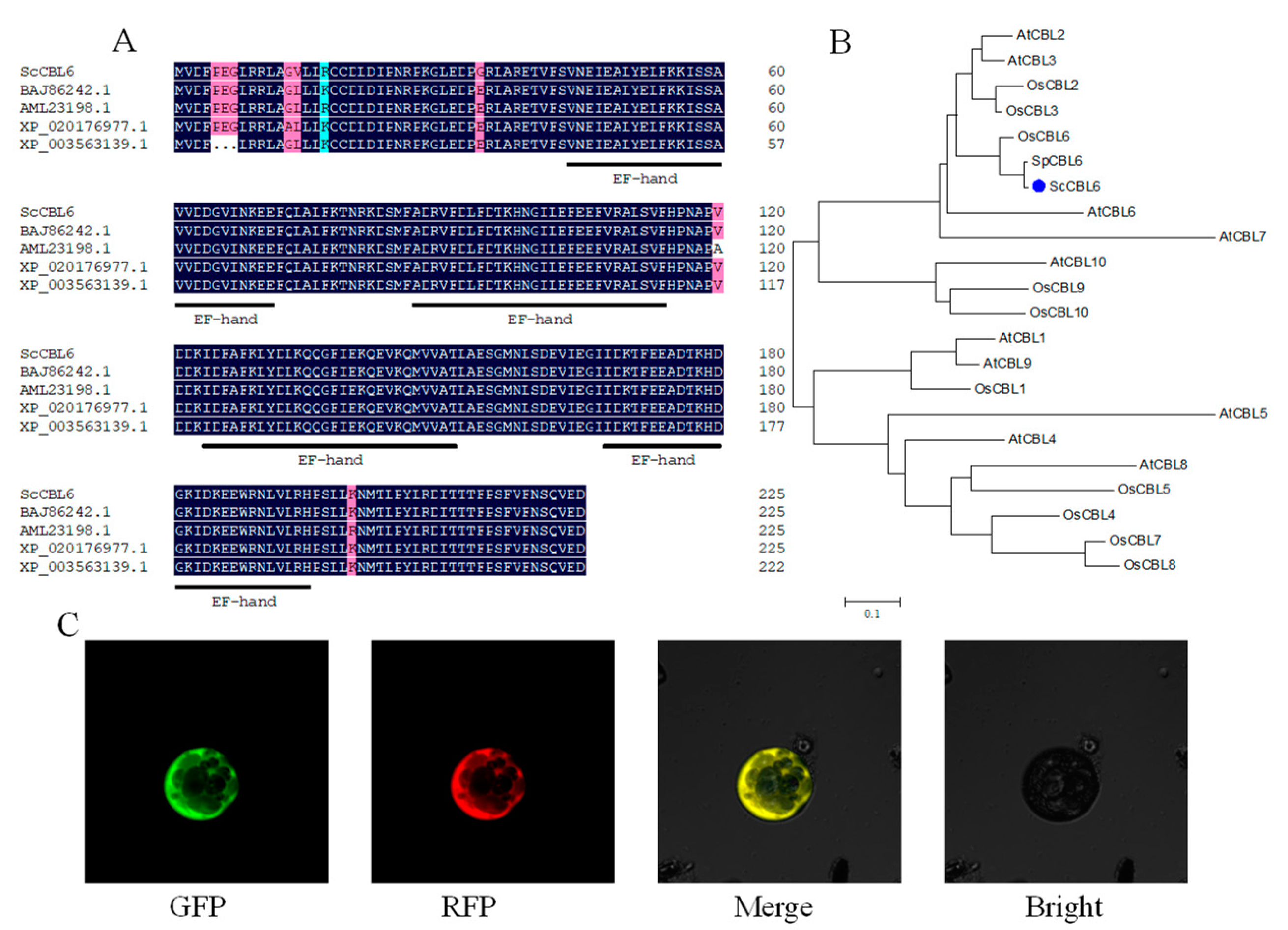Cimb 44 00378 g001 Cimb 44 00378 g001
