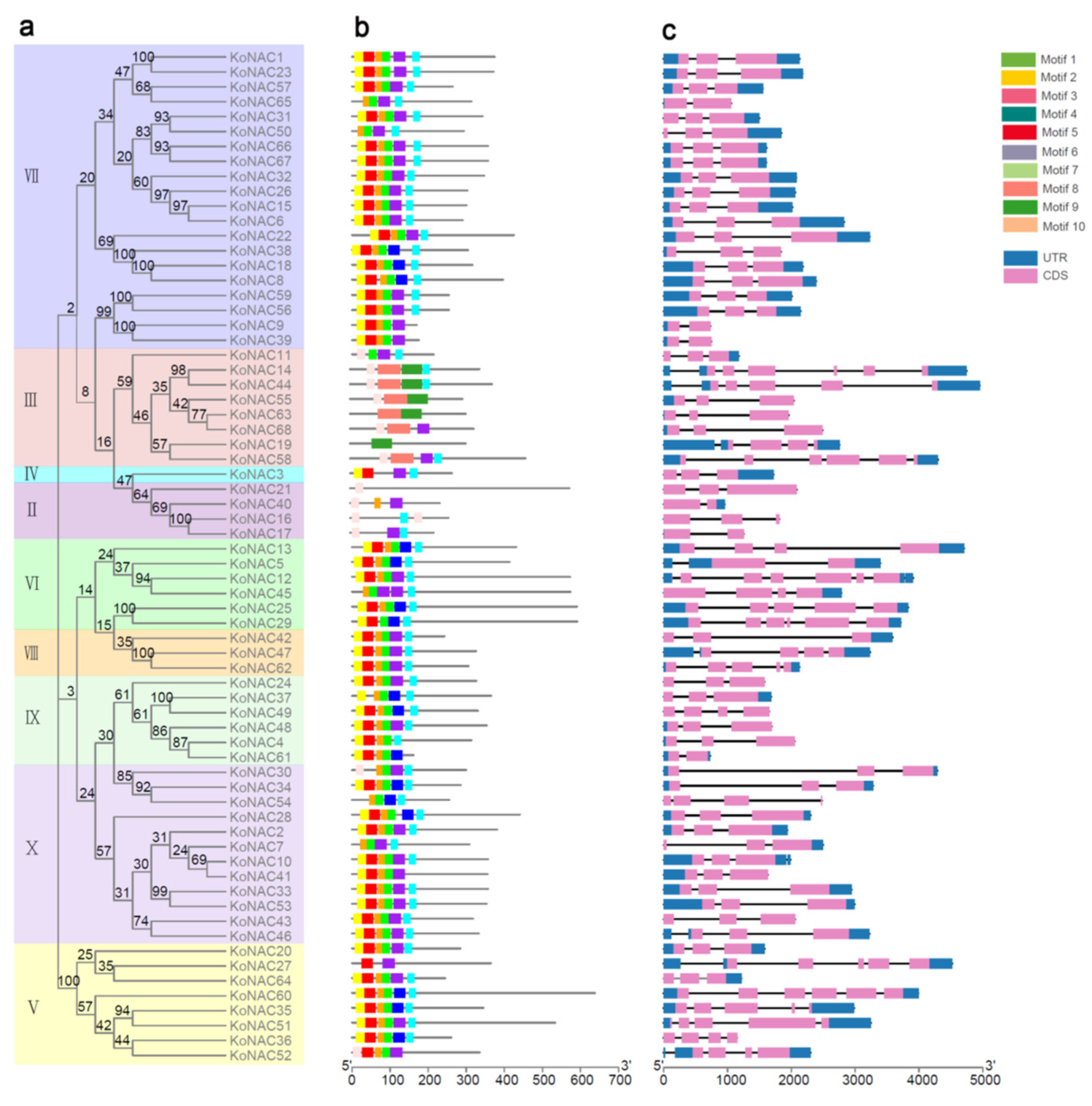 Cimb 44 00381 g004 Cimb 44 00381 g004