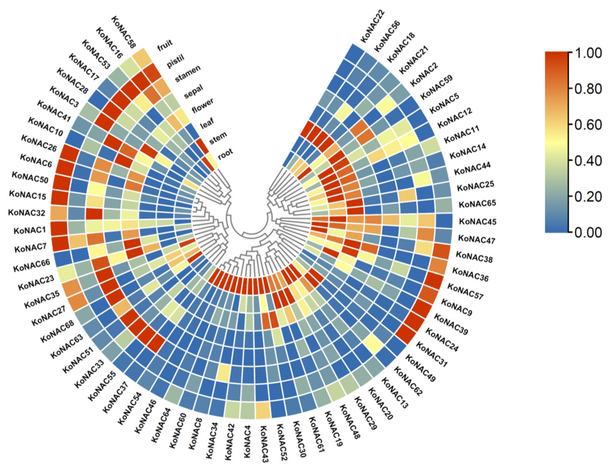 Cimb 44 00381 g006 Cimb 44 00381 g006