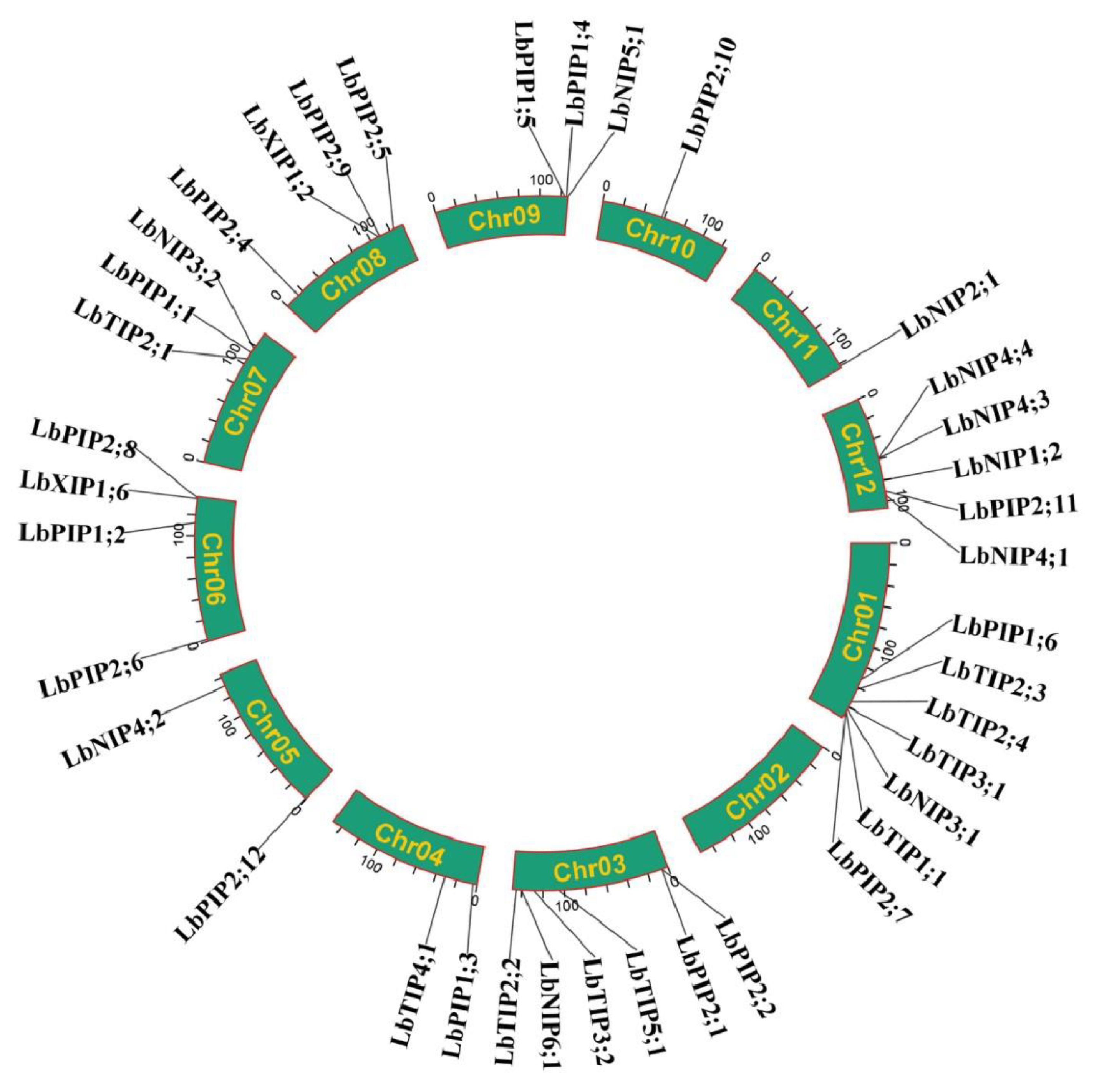 Cimb 44 00404 g002 Cimb 44 00404 g002